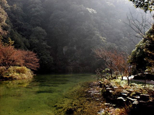 Nine Creeks and Eighteen Gullies, por Belén G. Bonorino