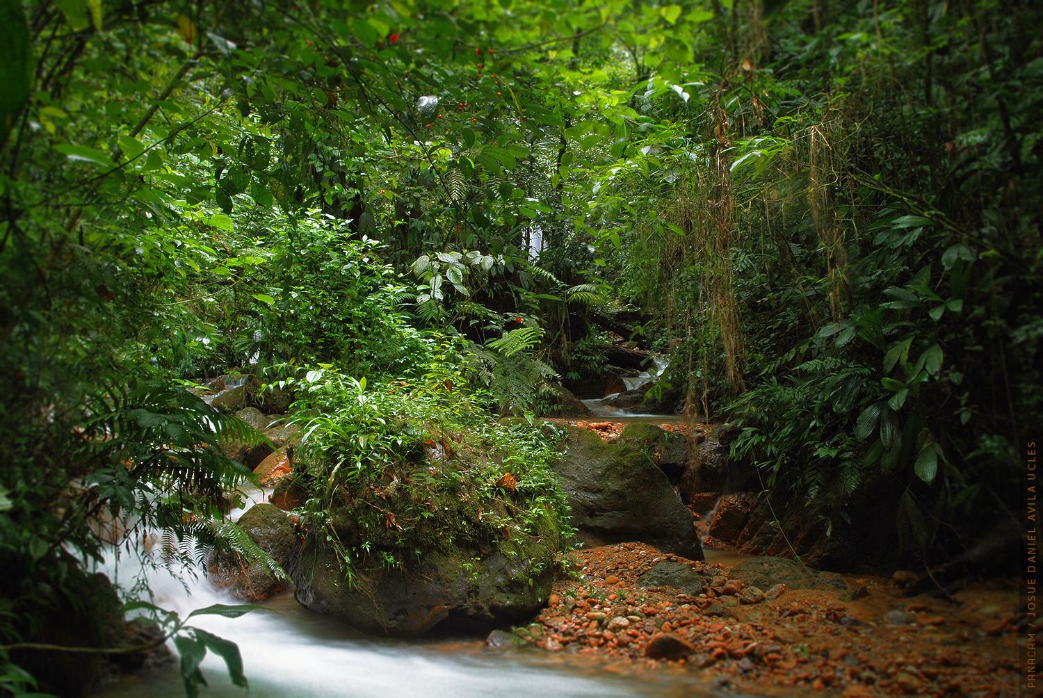 Panacam, por Josue Avila