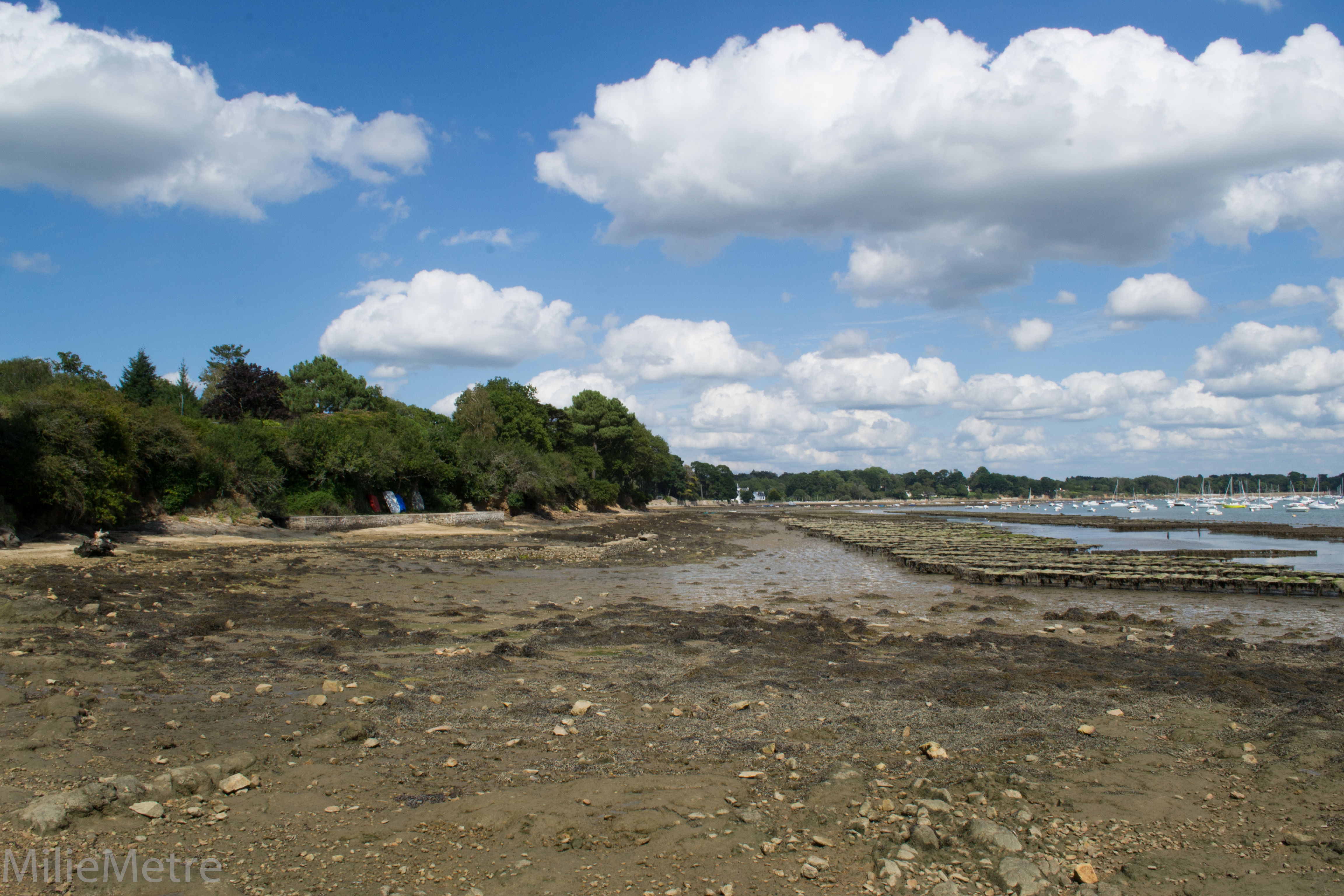 Playas de Arradon, por emilie 