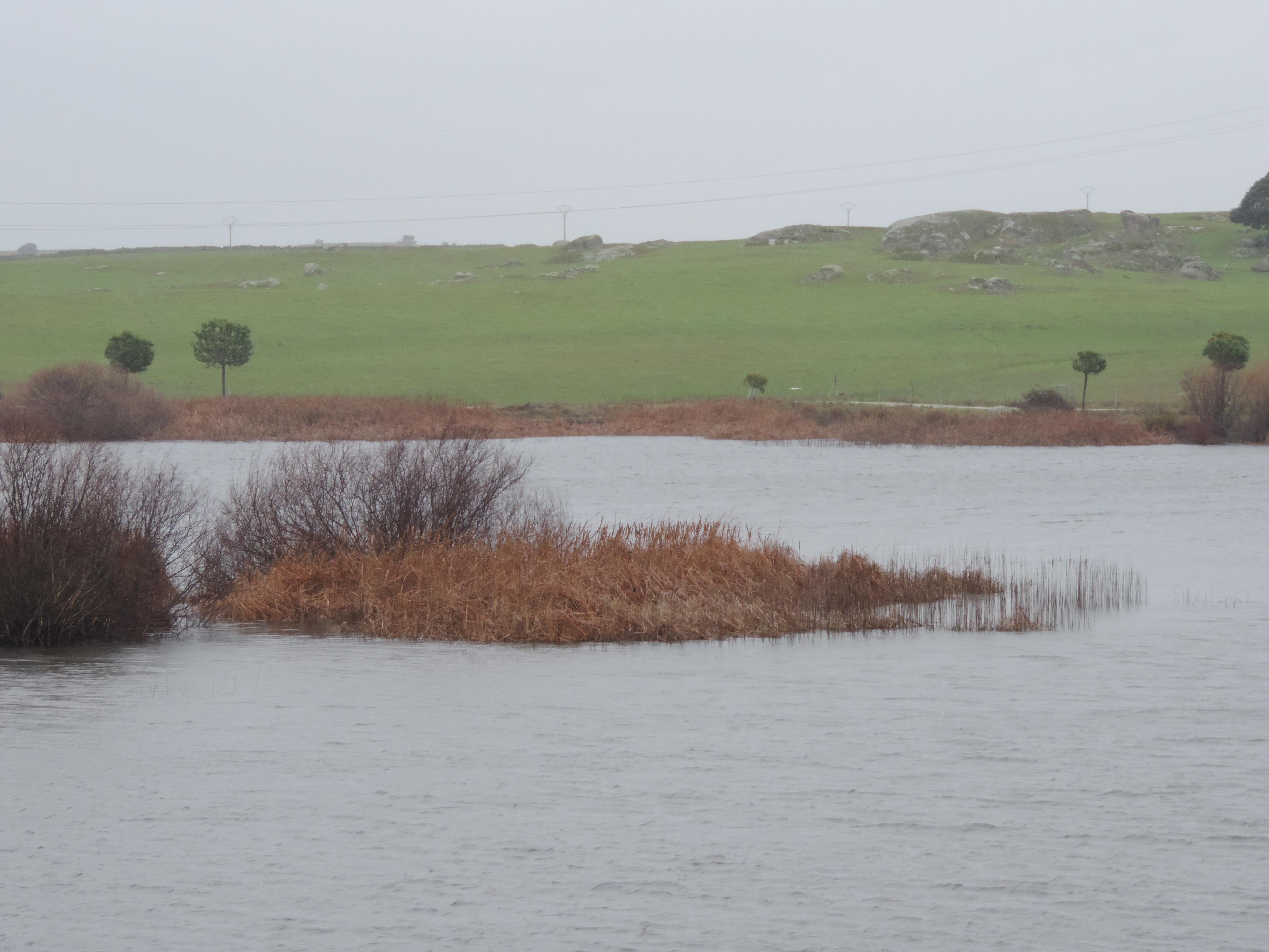 Laguna del Casar, por Rut Andrada Barbancho