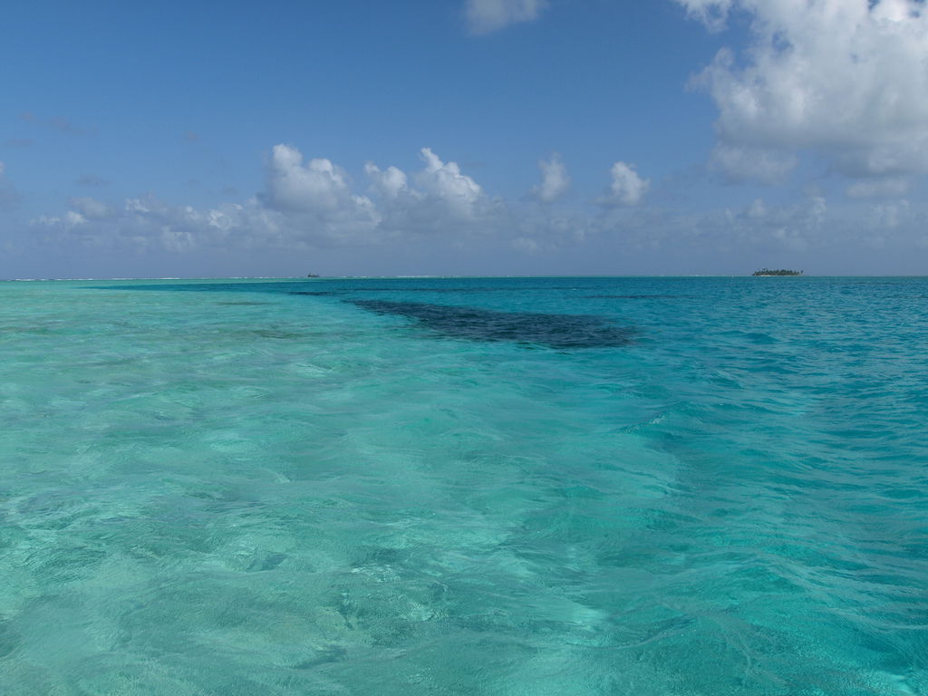 San andres scuba, por Carlos Olmo