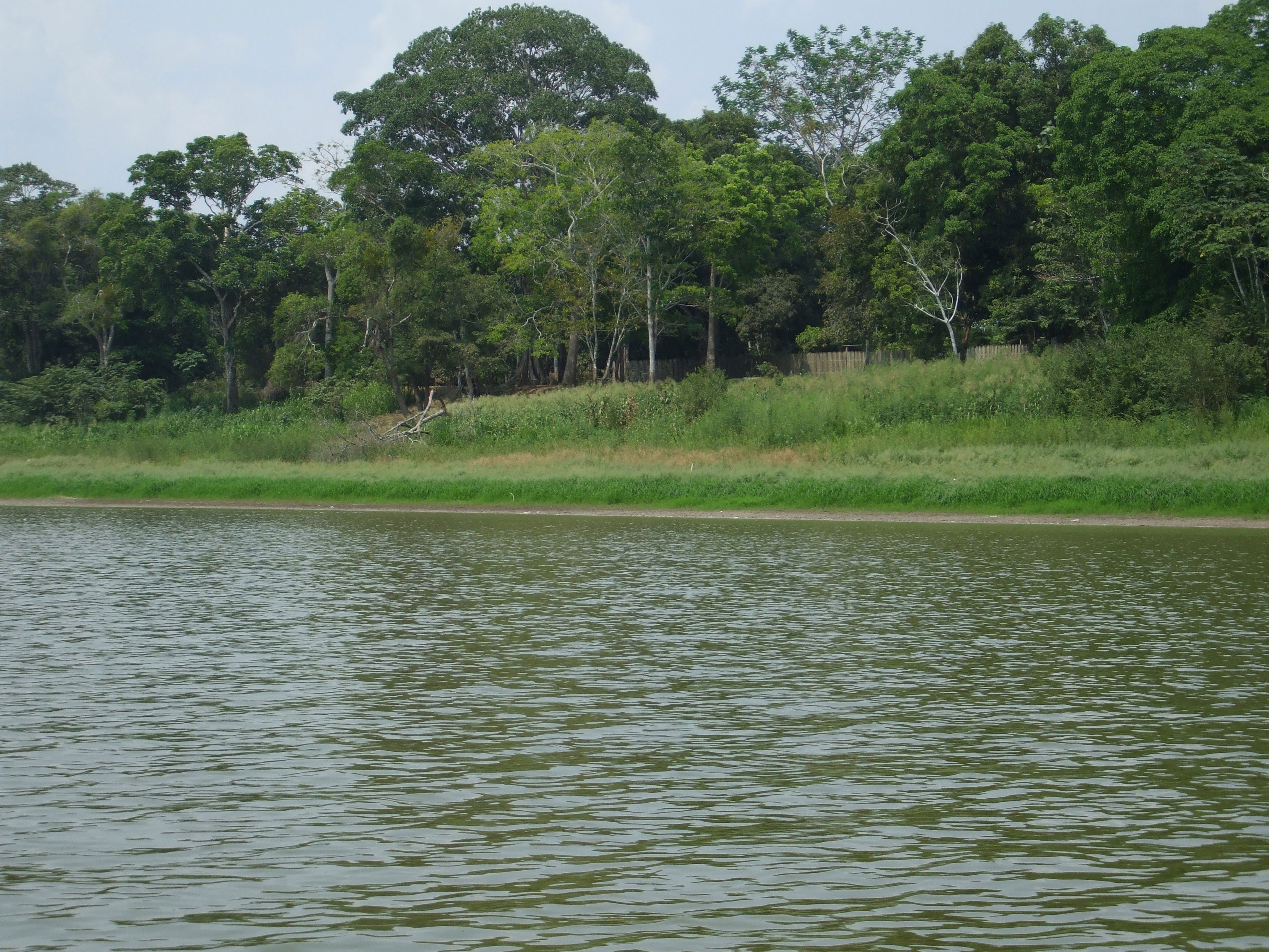 Laguna de Yarinacocha, por rachel777
