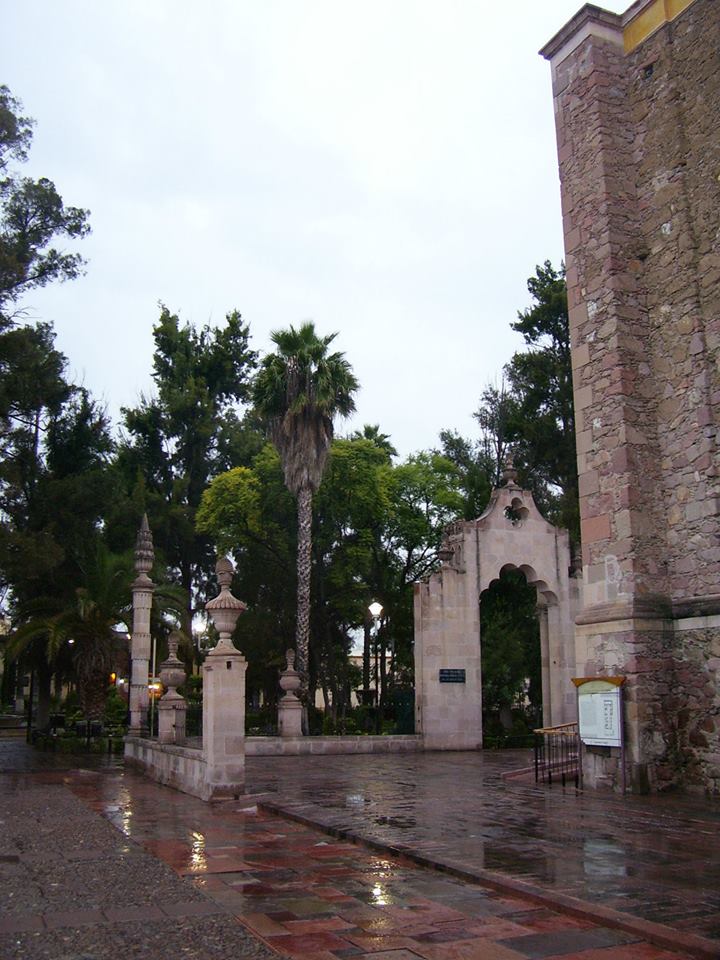 Jardín del Encino, por Rodrigo Cervantes