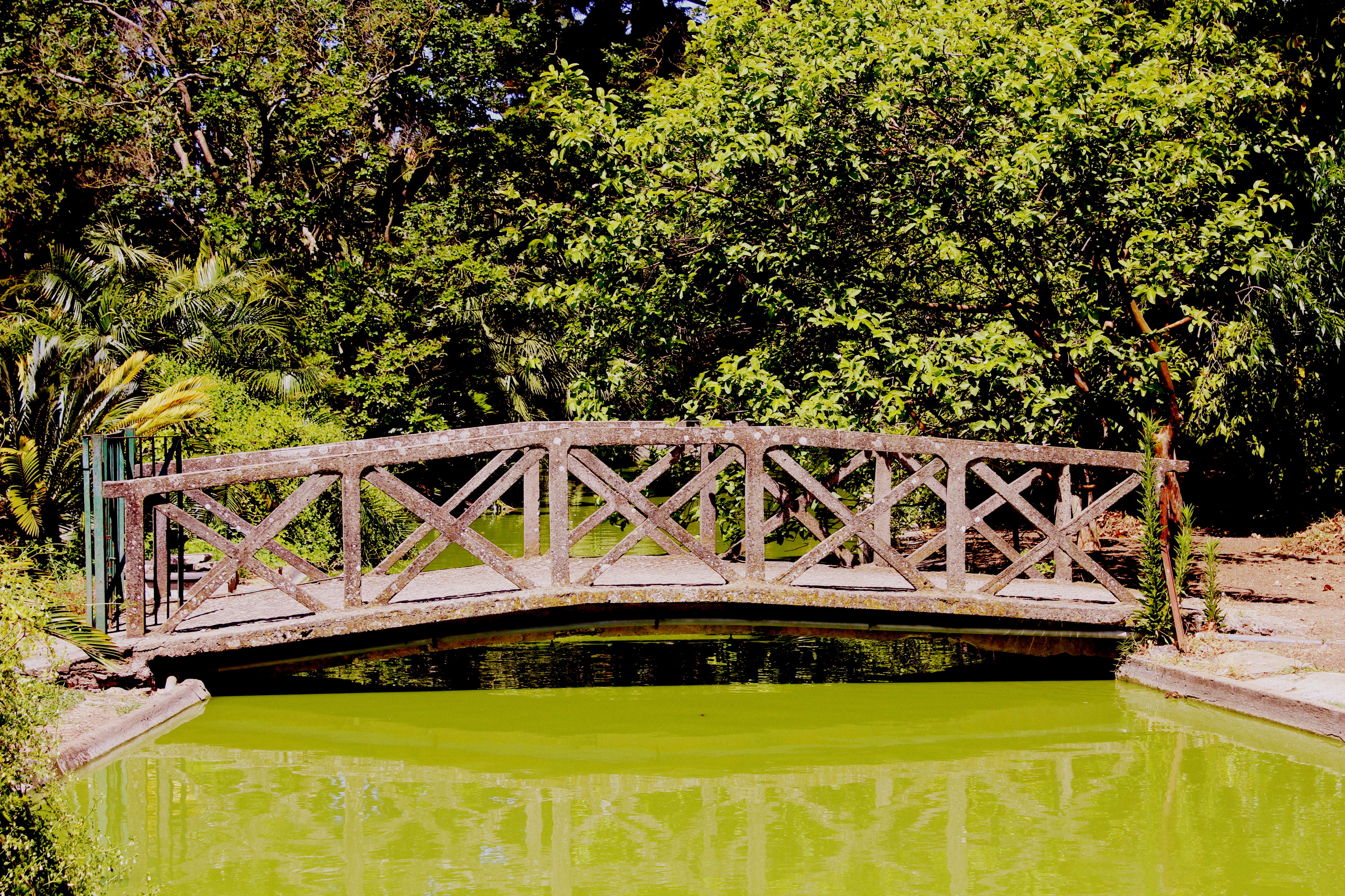 Jardines en Lisboa: un recorrido por oasis de naturaleza y belleza