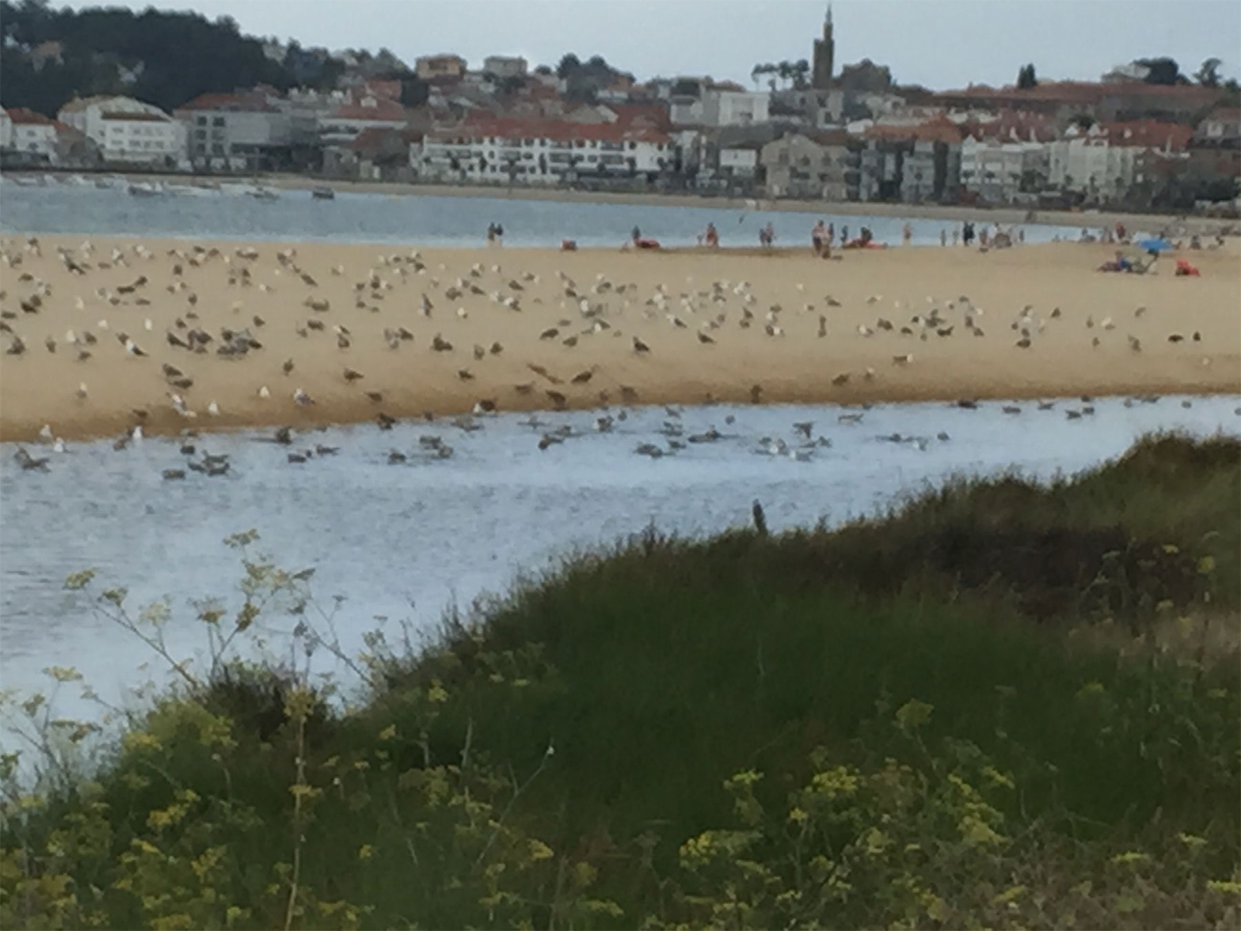 Playa de Panxon, por Tinin Moyano Lopez