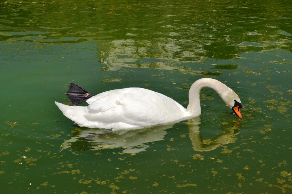 Parco Della Biodiversità Mediterranea, por Giovanna Destefano