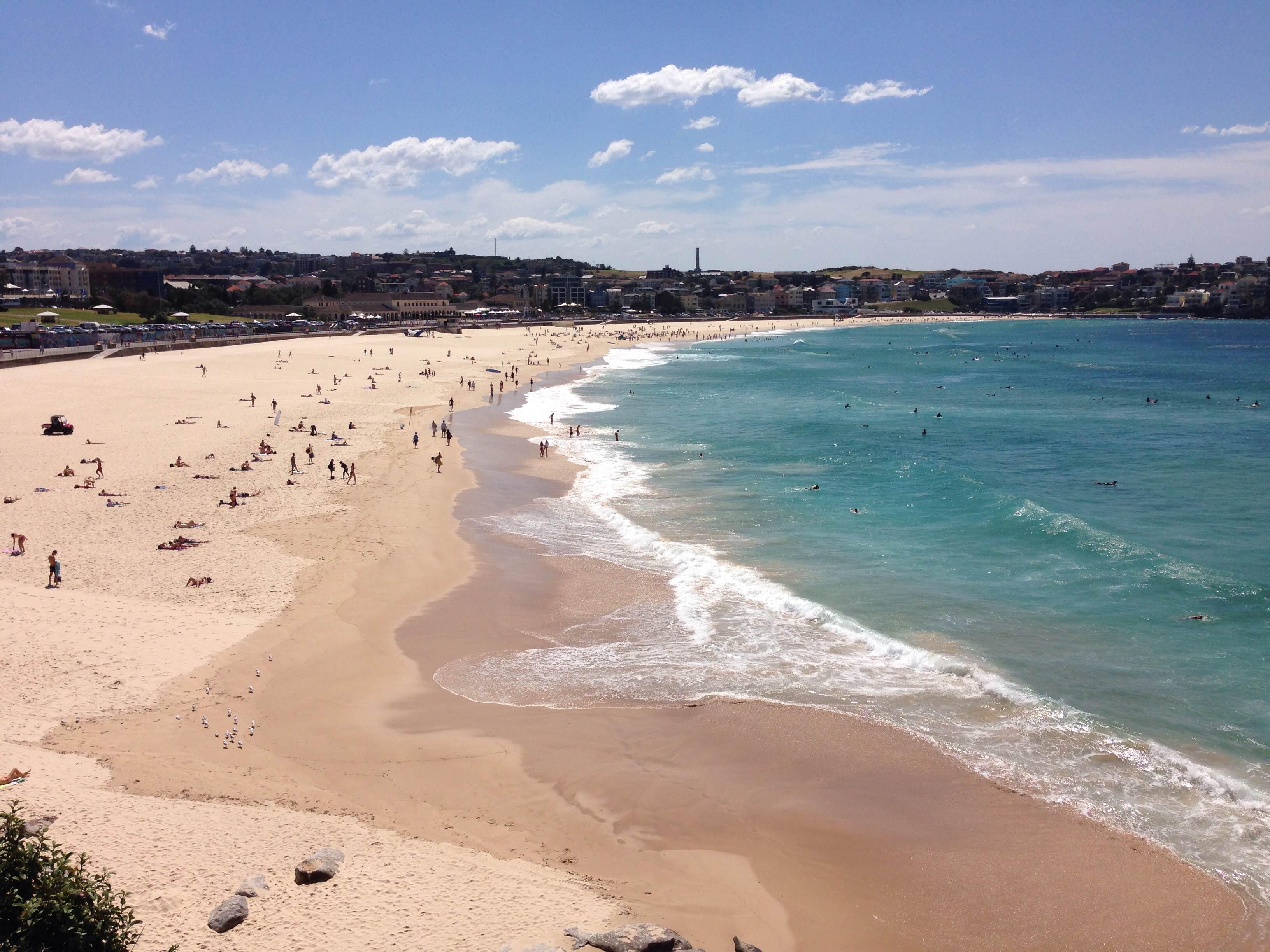 El Sydney esencial: Paseo Costero desde Bondi hasta Coogee