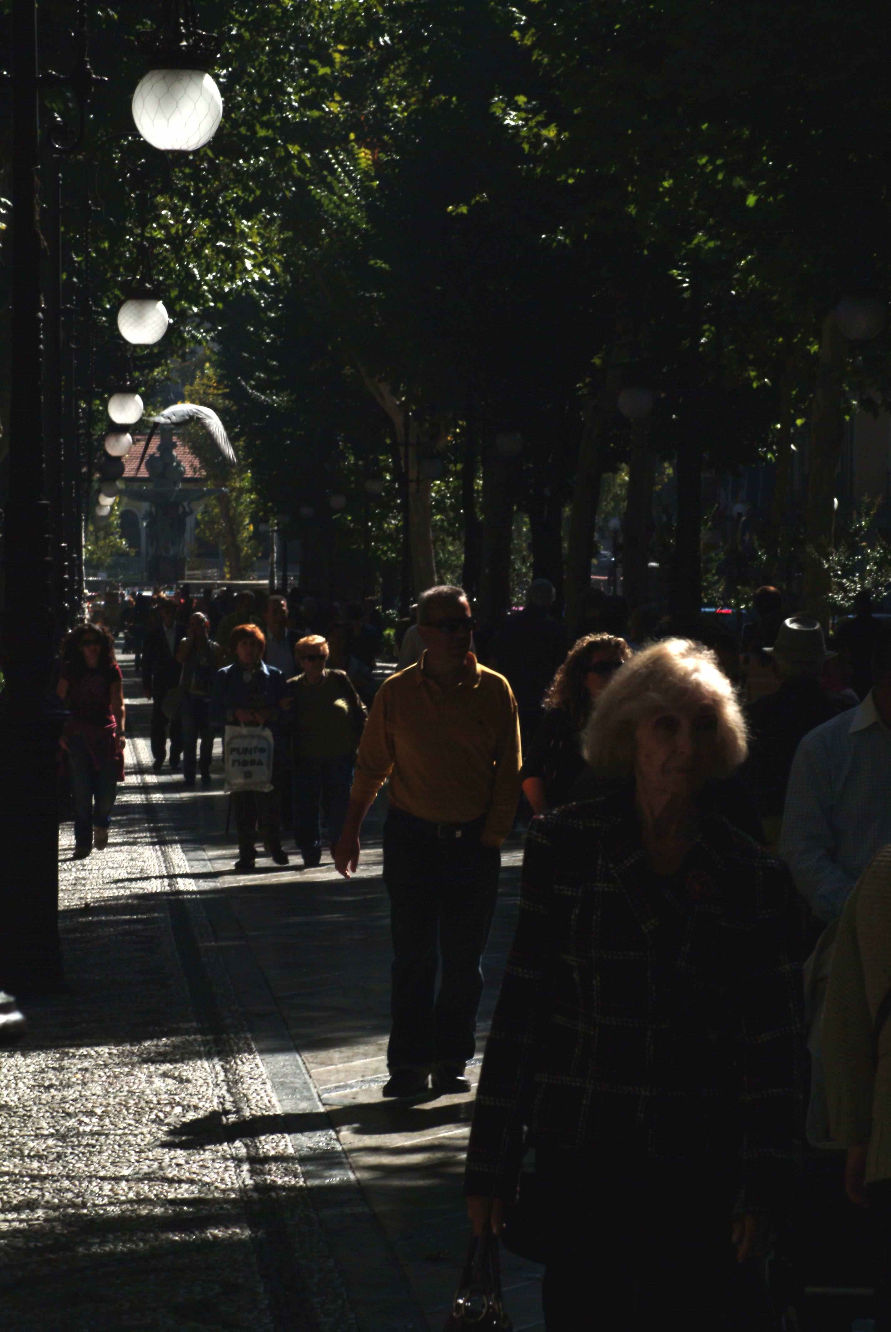 Calles, por J Alfredo Moreno Jimenez
