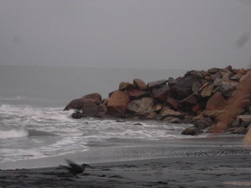 Playa de Amritapuri, por Marie & Matt