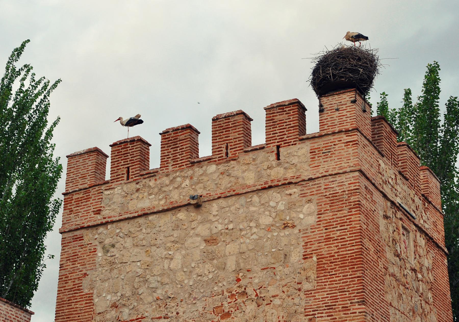 Torre XIV, por Nina*