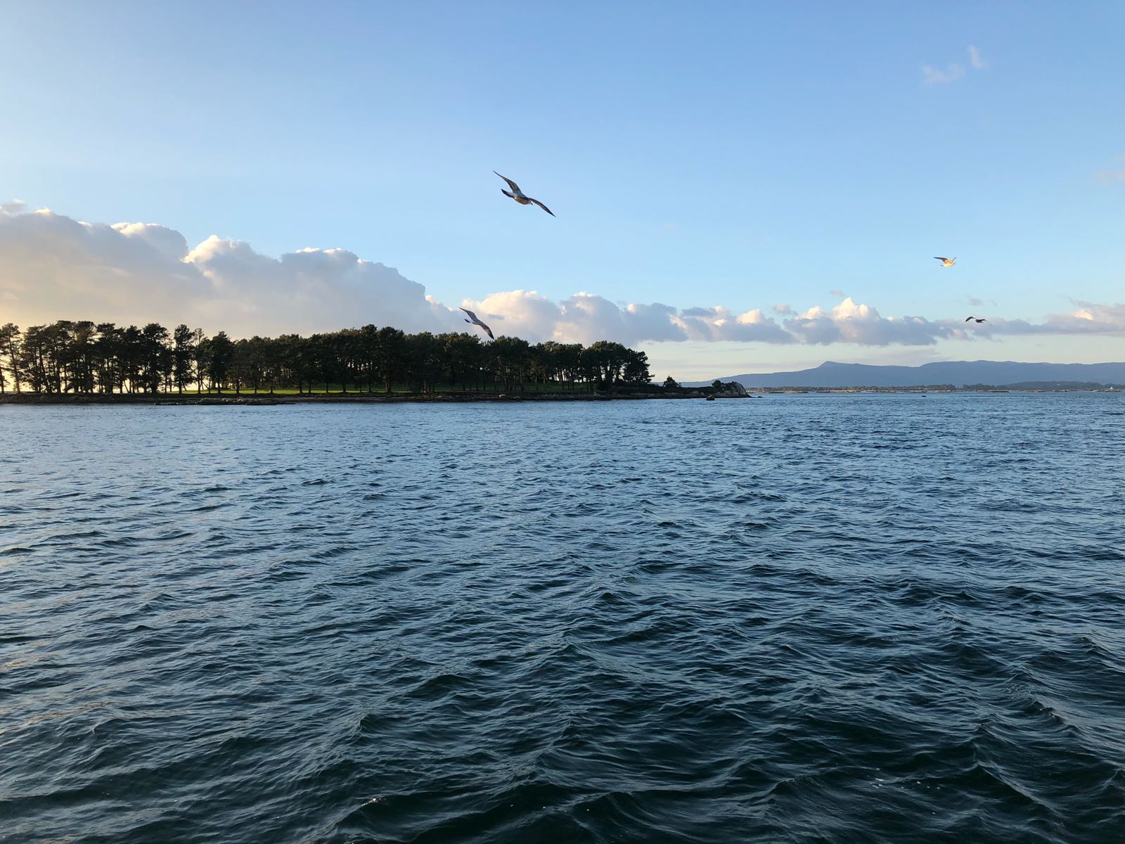 Botadura Barco en Galicia, por Beas Alvarez