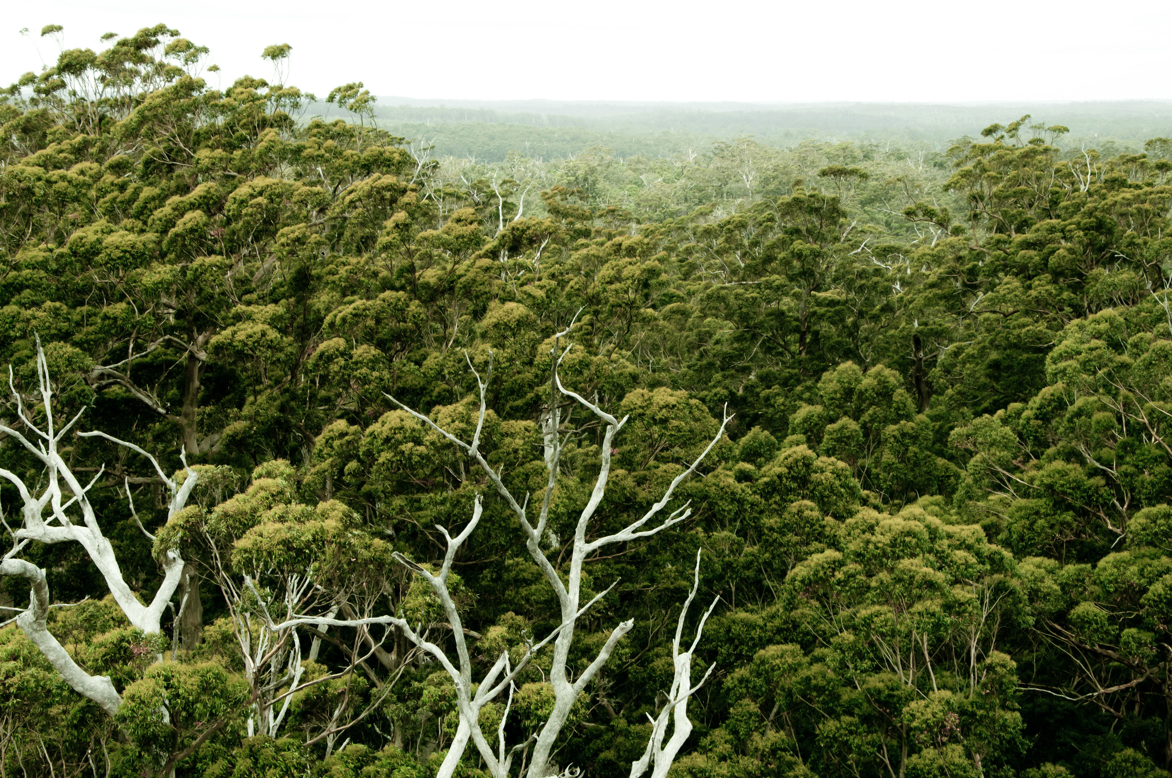 Warren National Park, por Joel Lee