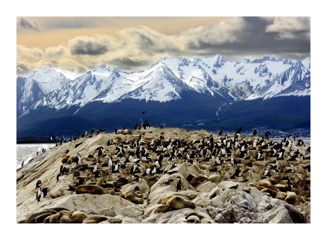 Costa de Ushuaia, por samanta del rio Puig