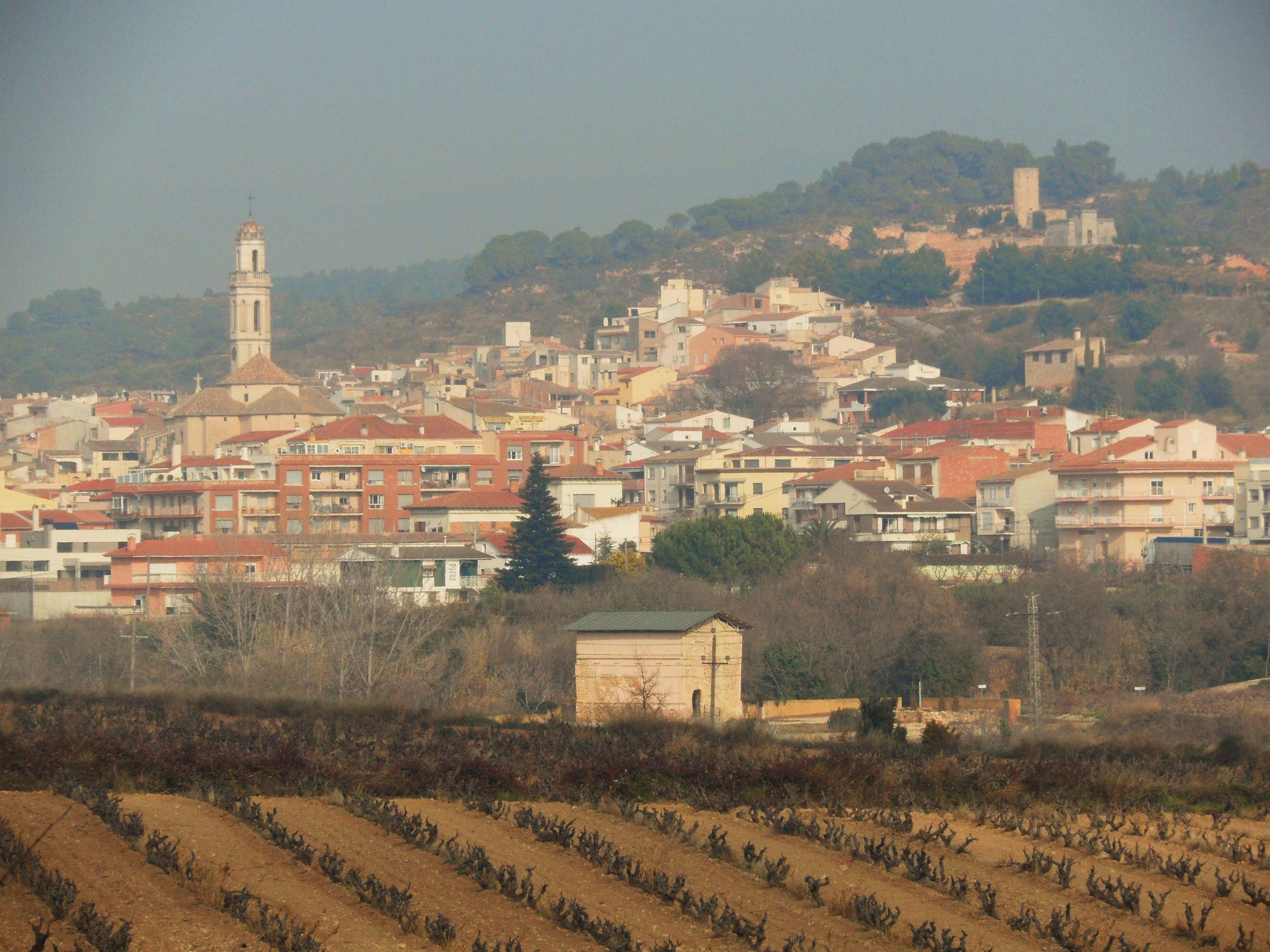 Vila-rodona, por Dónde vamos Eva