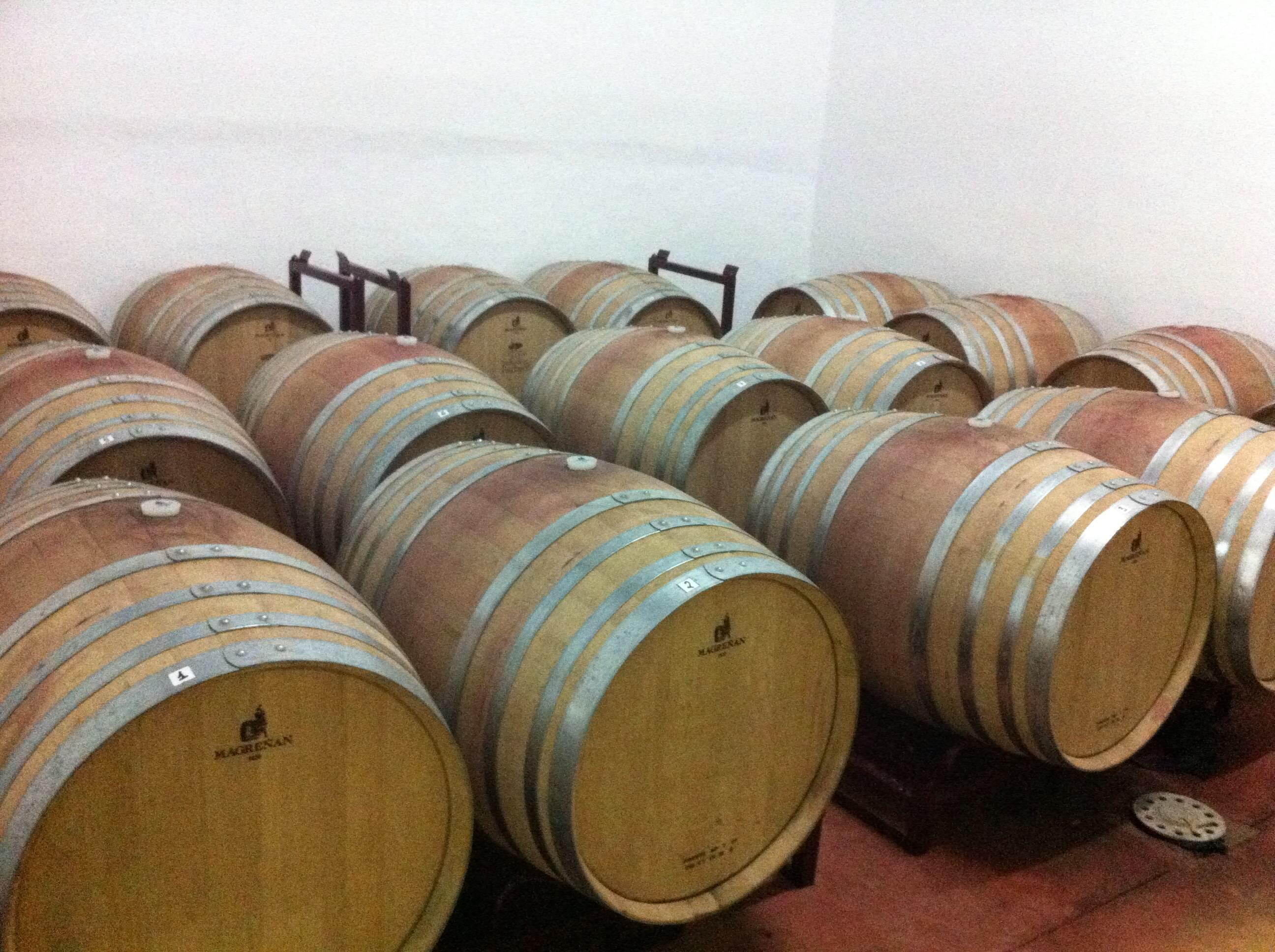 Bodega Cosecha Extremeña, por Jose Antonio Varas