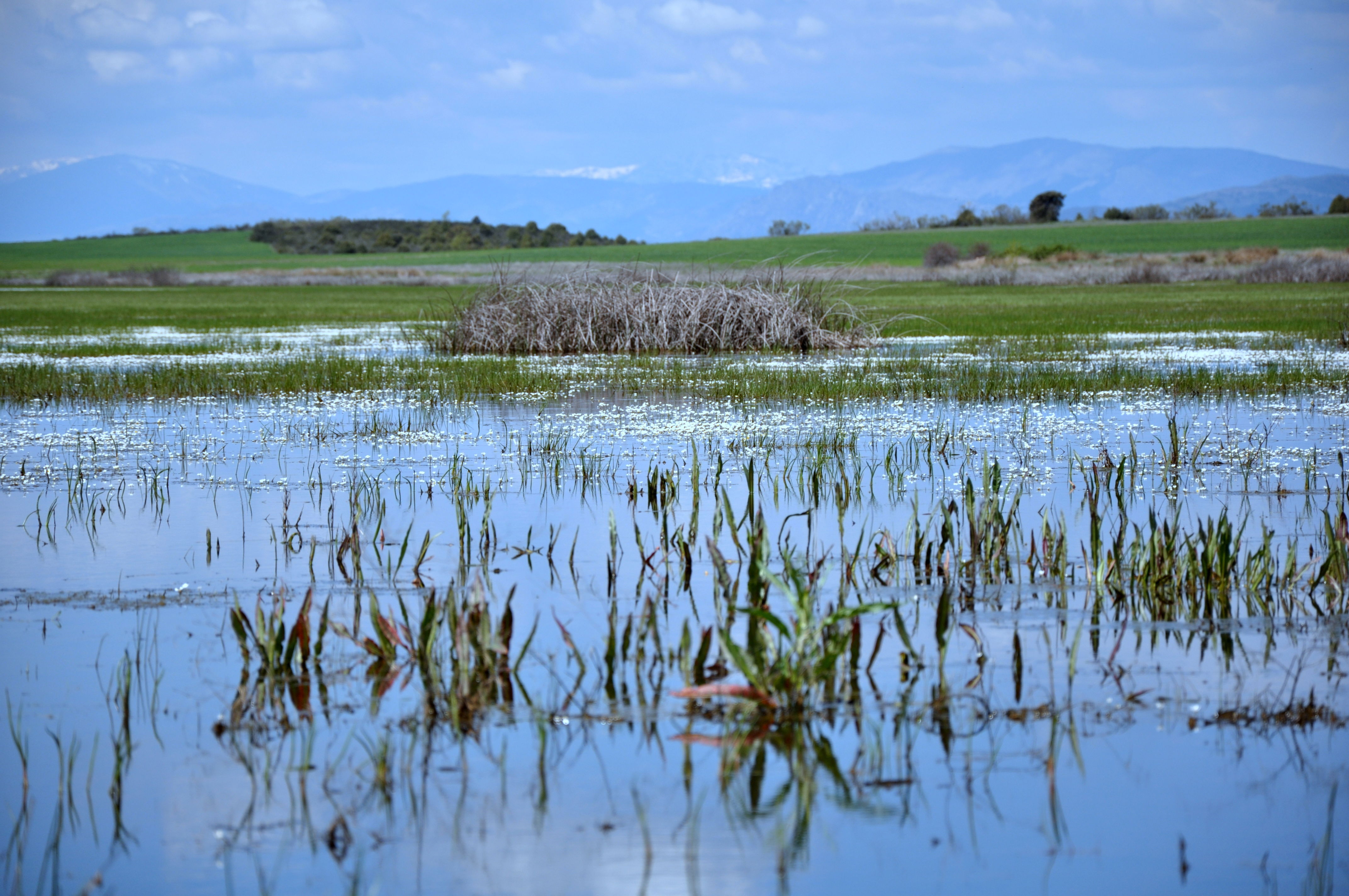 Laguna Grande de Puebla de Beleña, por Luisiin