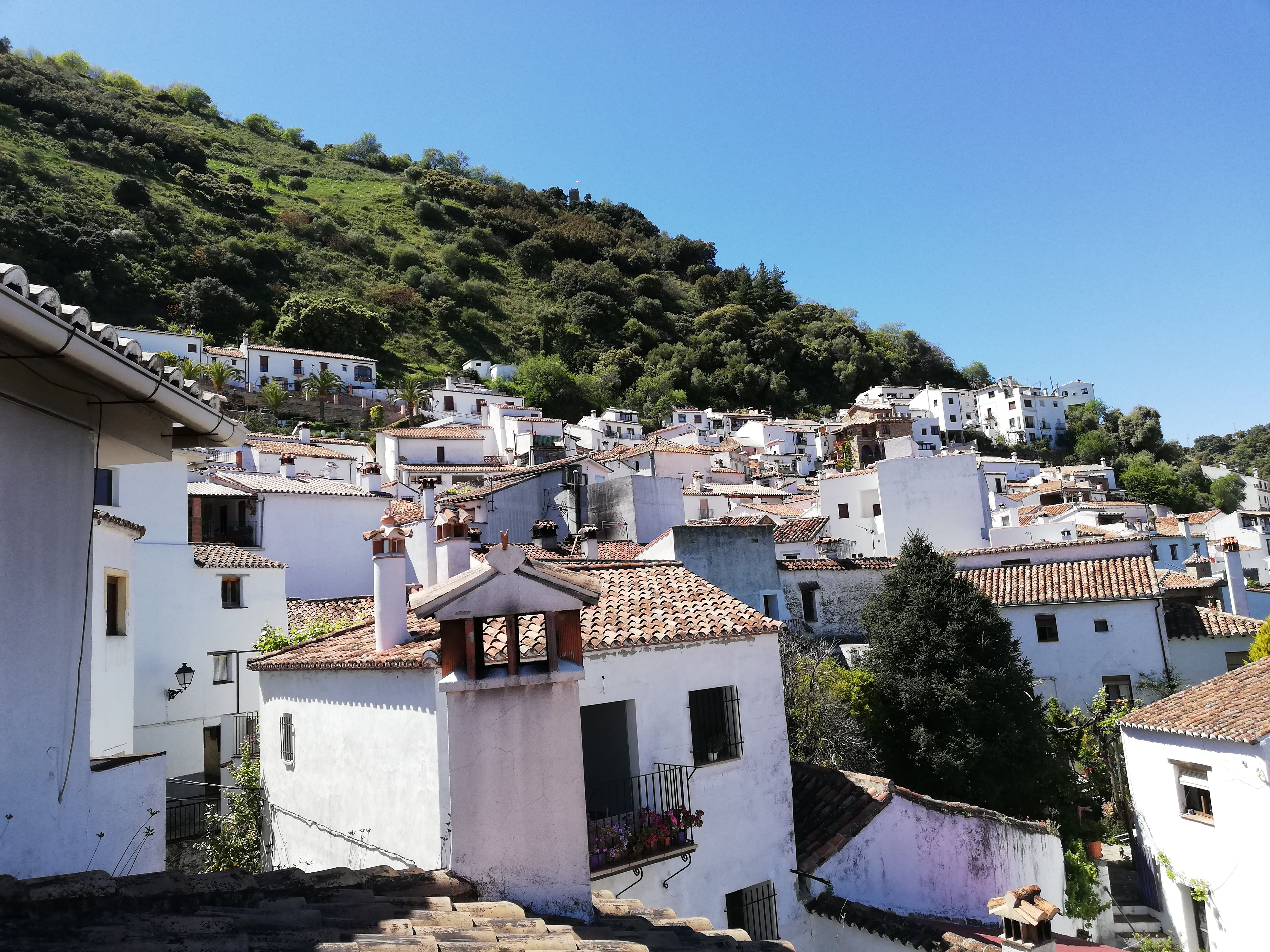 Aire libre de Benalauría: paisajes y rutas para disfrutar la naturaleza