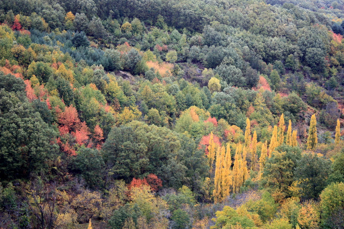 Otoño Mágico en el Valle del Ambroz, por diegocurto