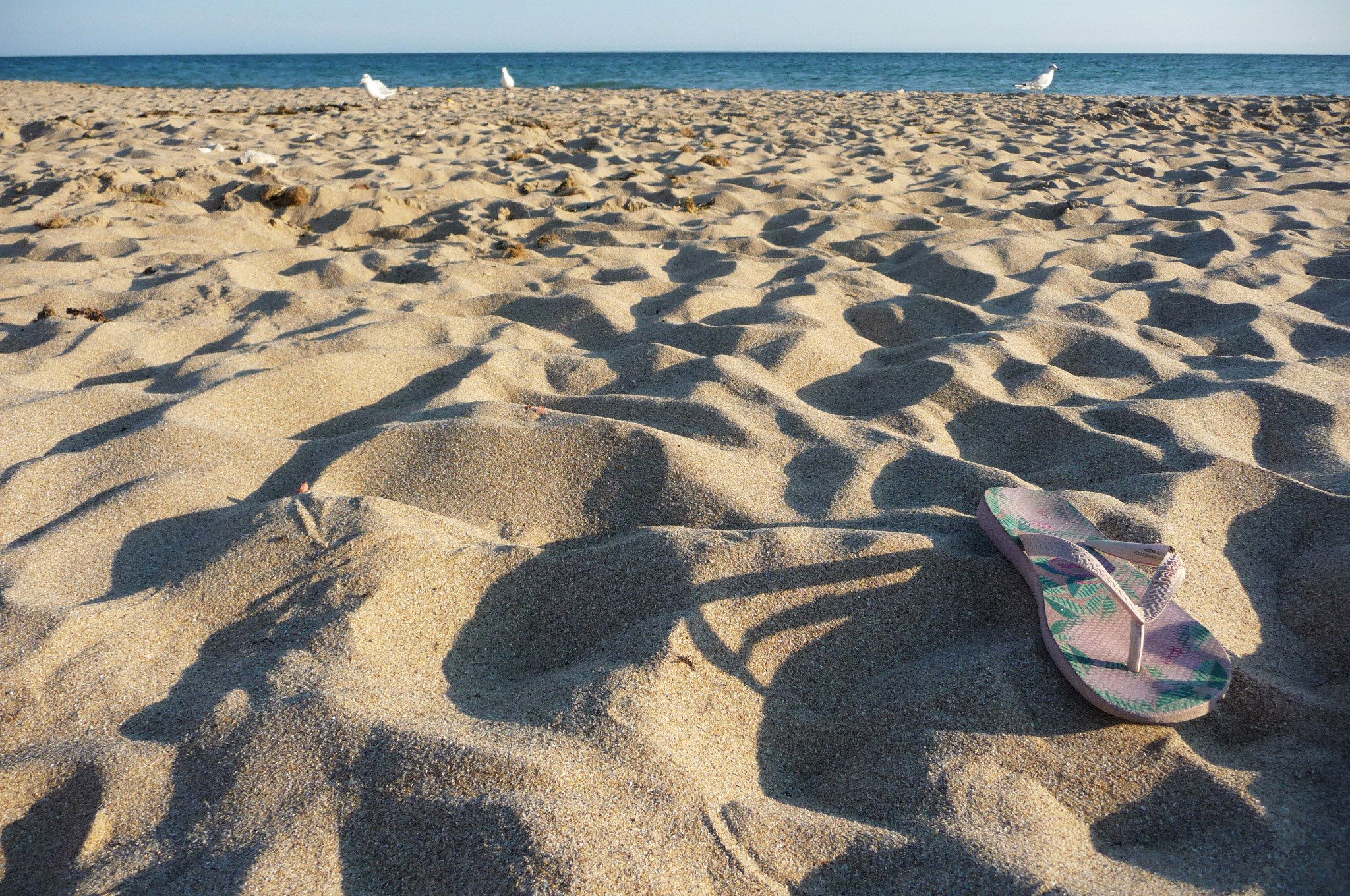 Playa de anneries, por Marine Castell