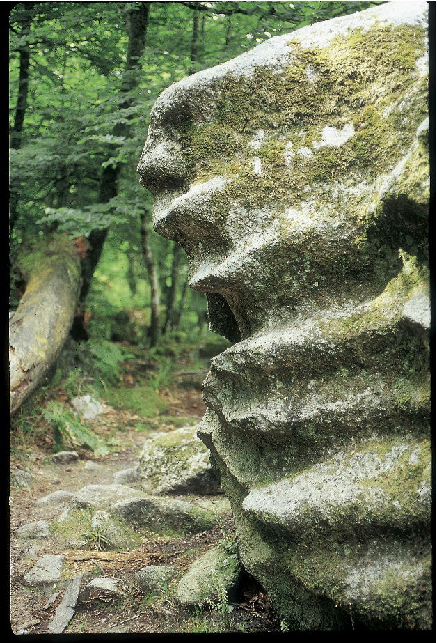 Les Roches du Diable, por Bretagne