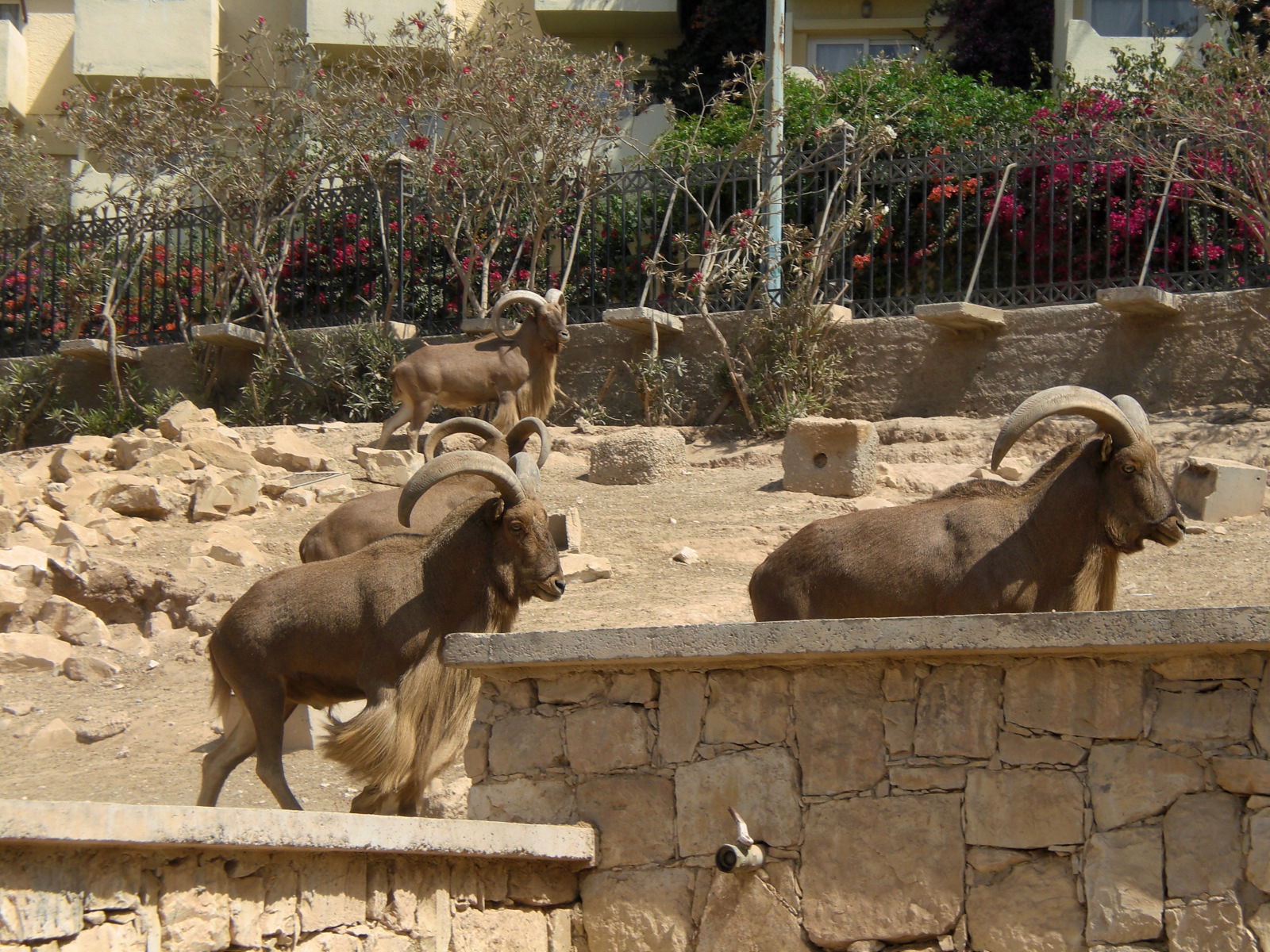 Valle de los pájaros, por guanche