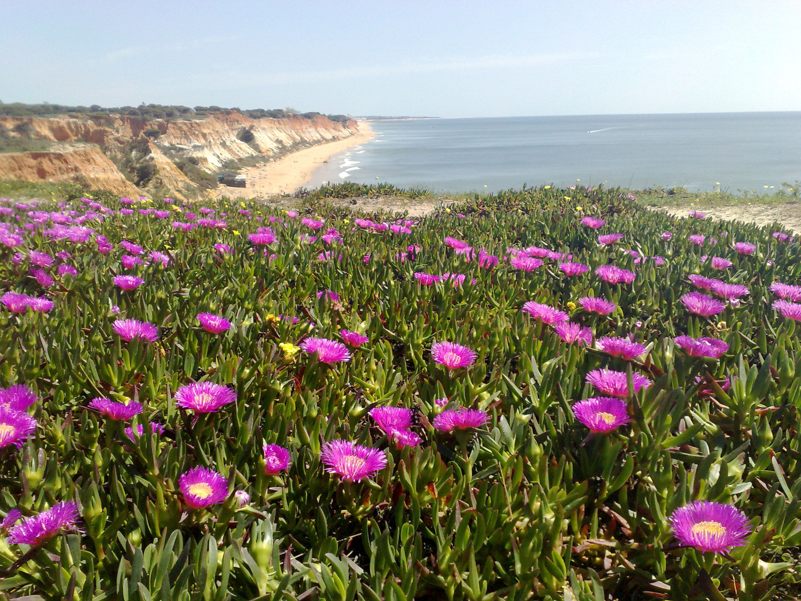 Albufeira, por martuki_svq