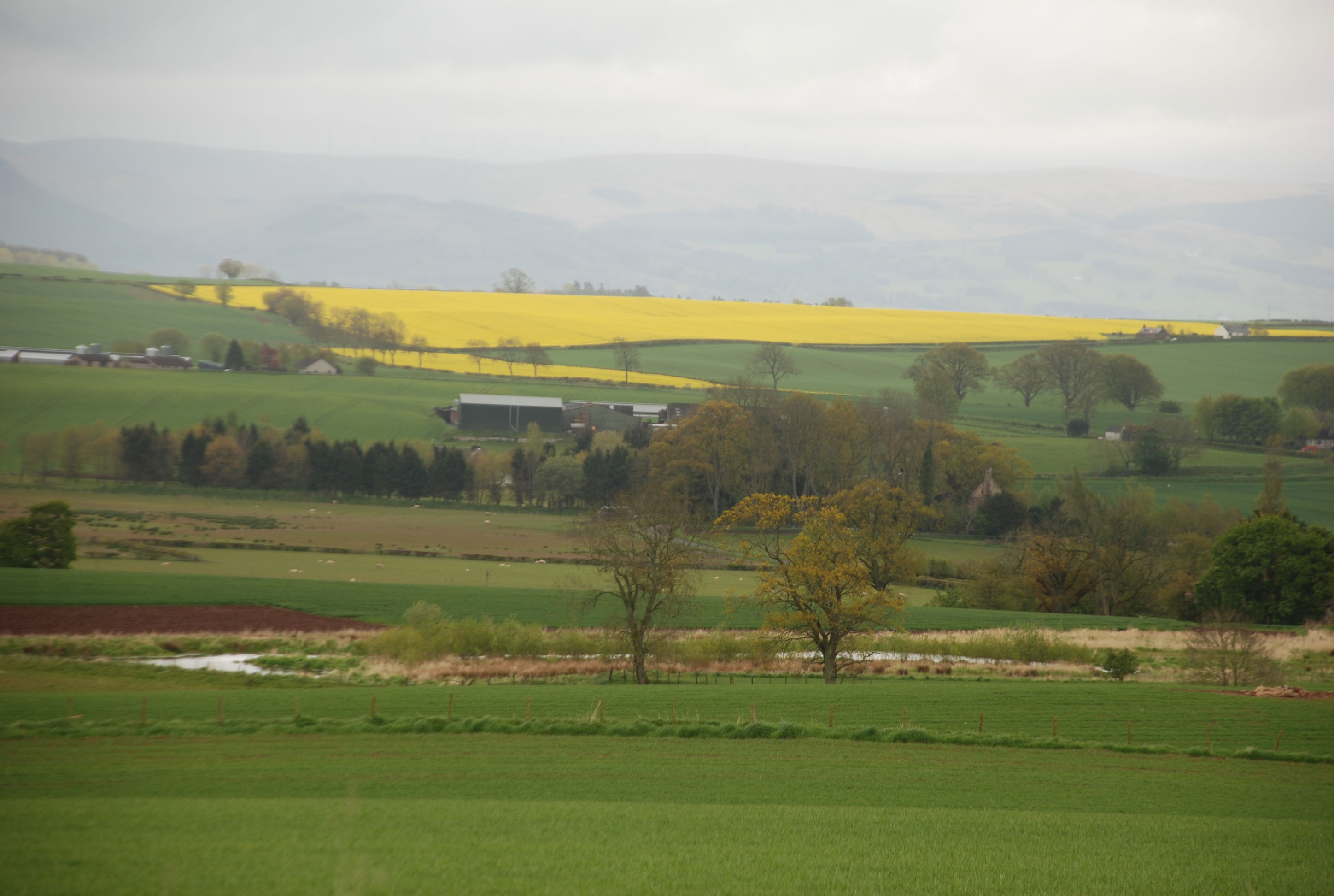 Campos de Inchaffray, por eXplorador Escocés