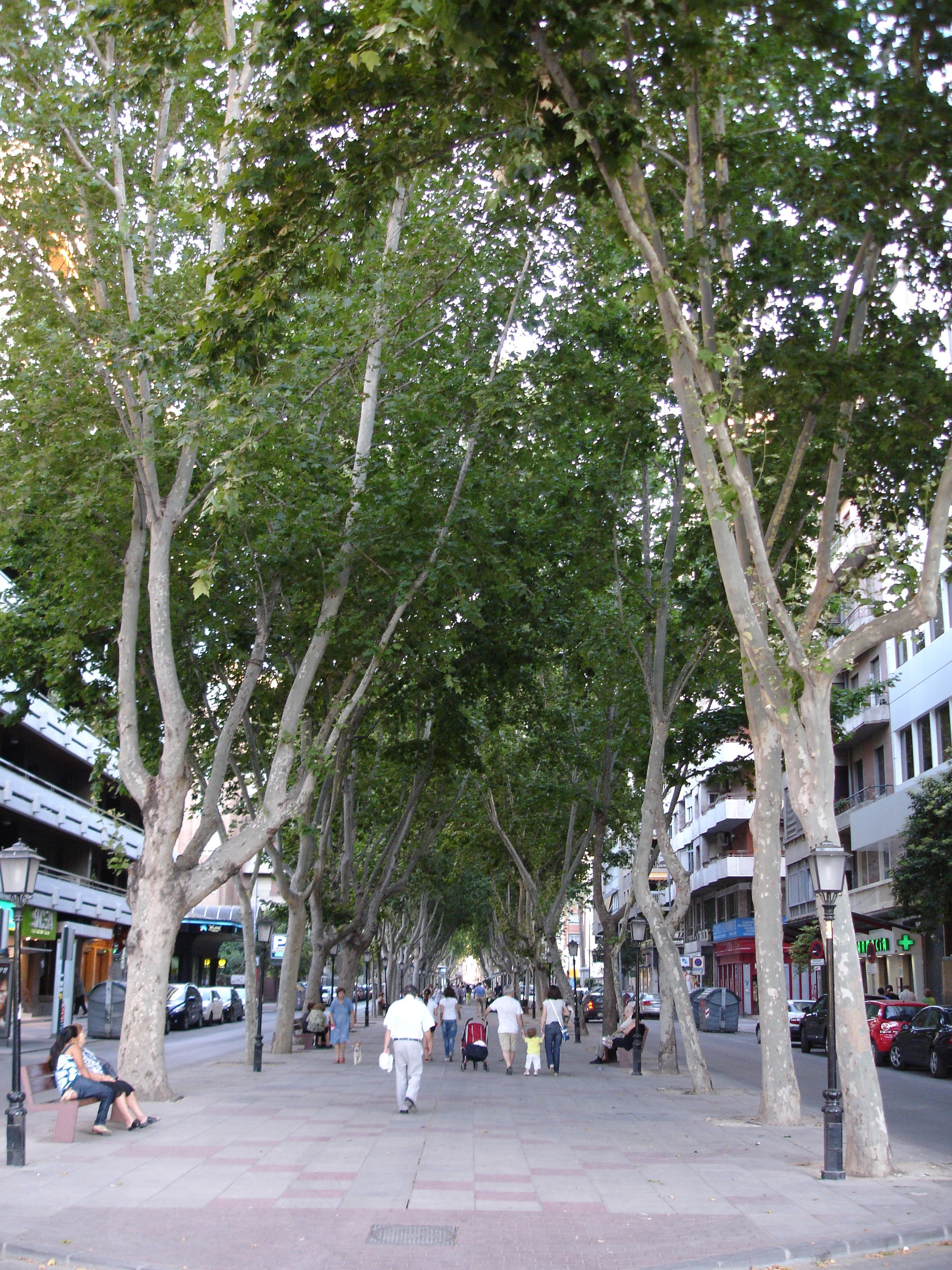 Paseo Alfonso X El Sabio, por Mou