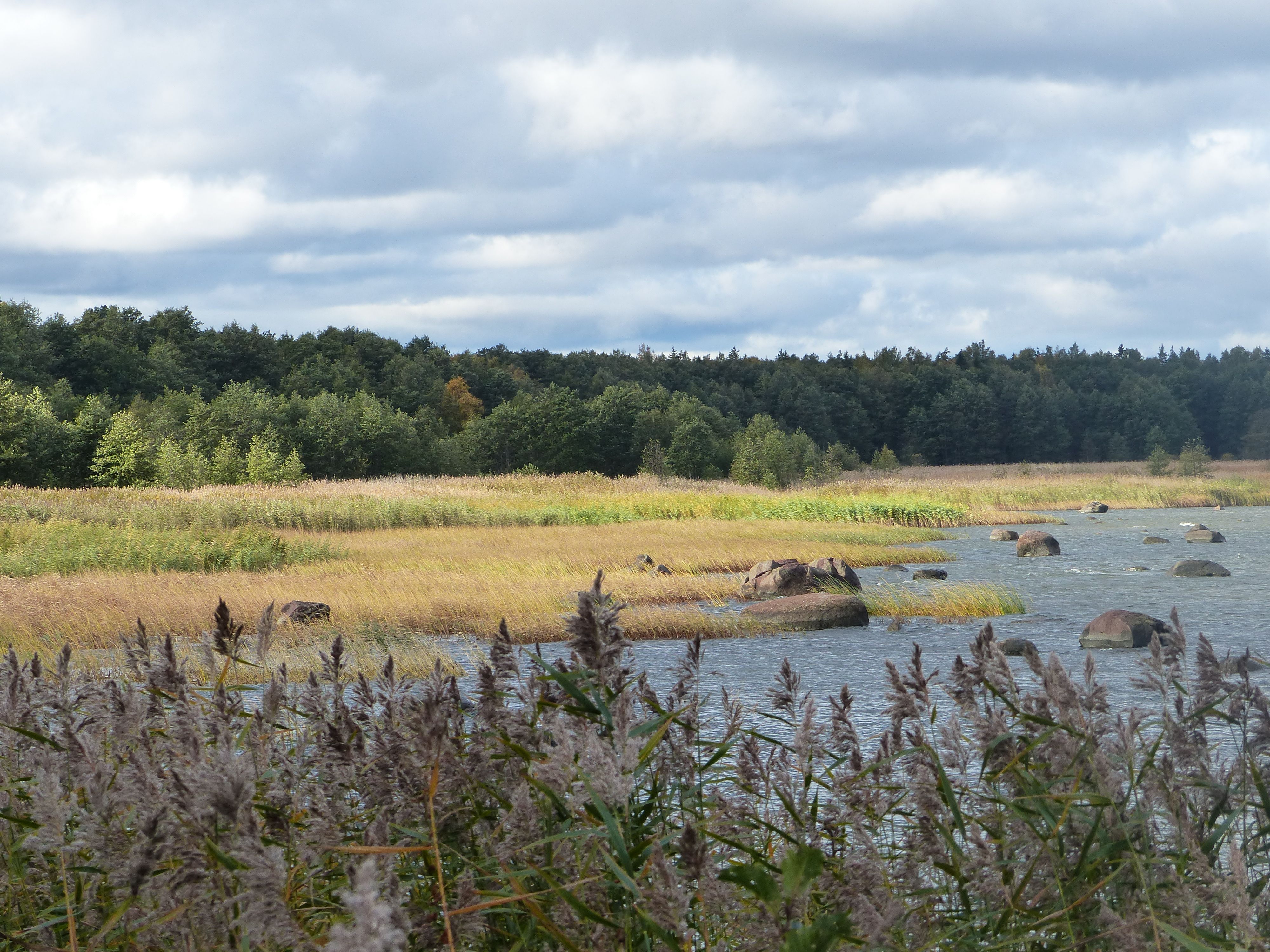 Aire libre en Estonia: descubre parques, miradores y paisajes únicos