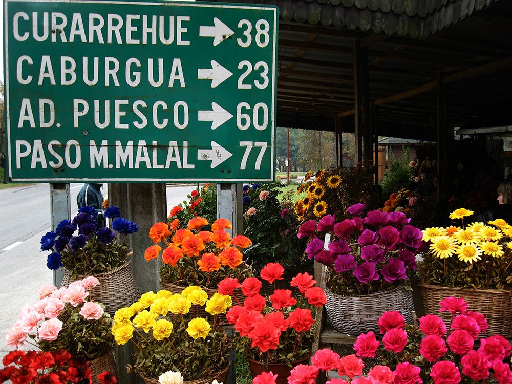 Flores de Madera, por Tribi Lin