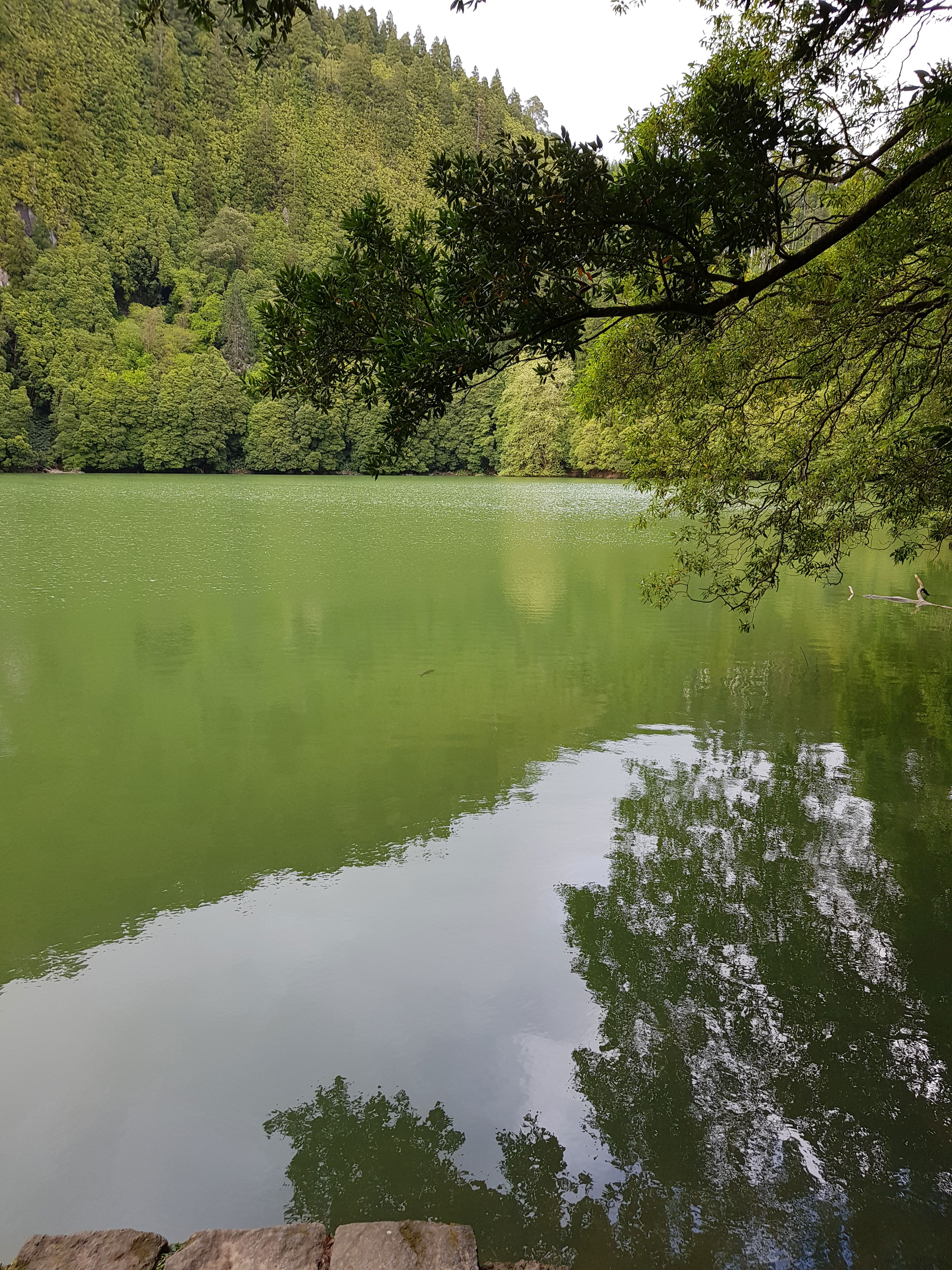 Laguna del Congro, por Nuno Rodrigo Pedro
