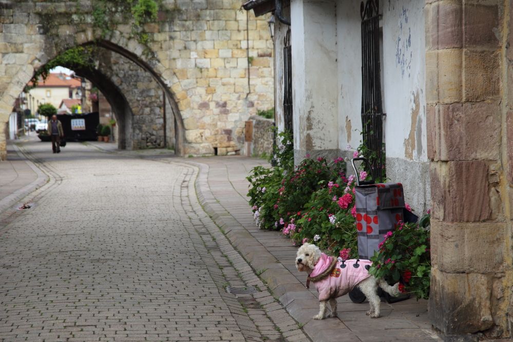 Calle Mayor, por ANADEL