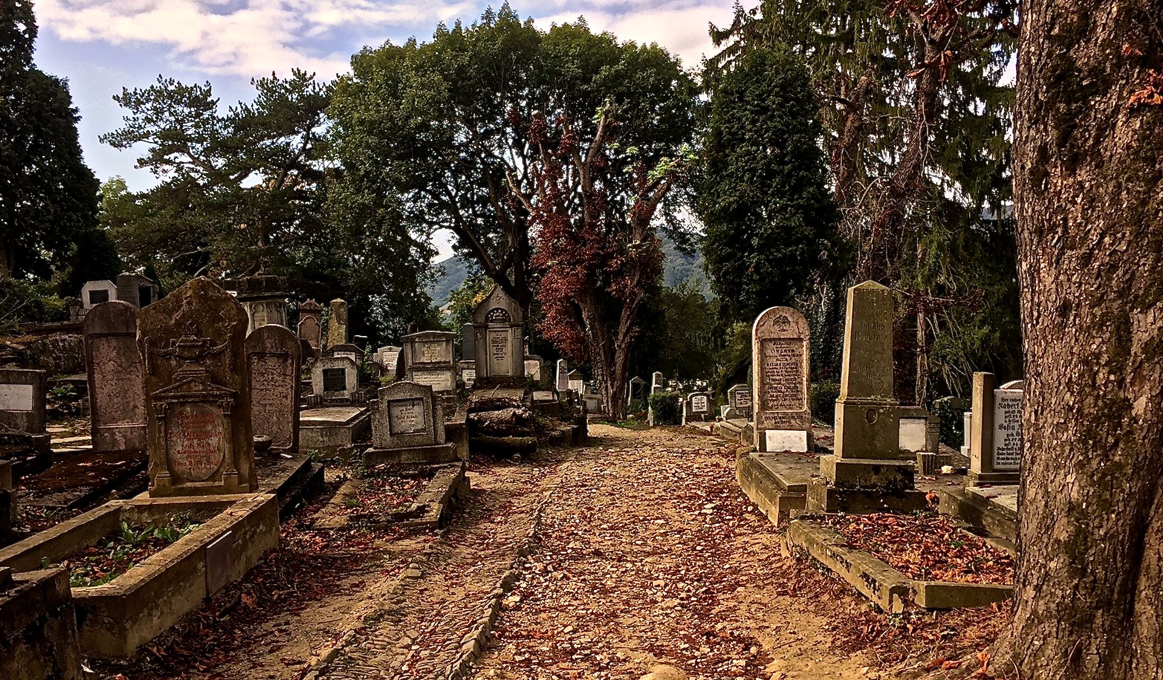 Cementerio de Sighișoara, por sala2500