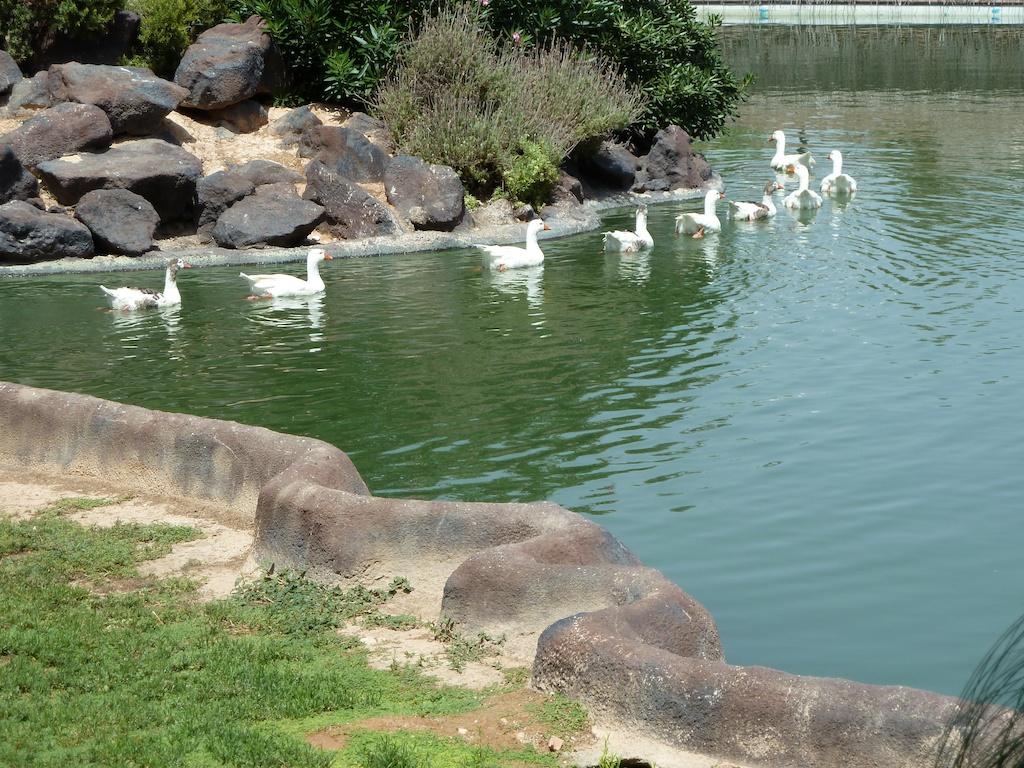 Parque de las naciones, por Miguel Santamaría Vicent