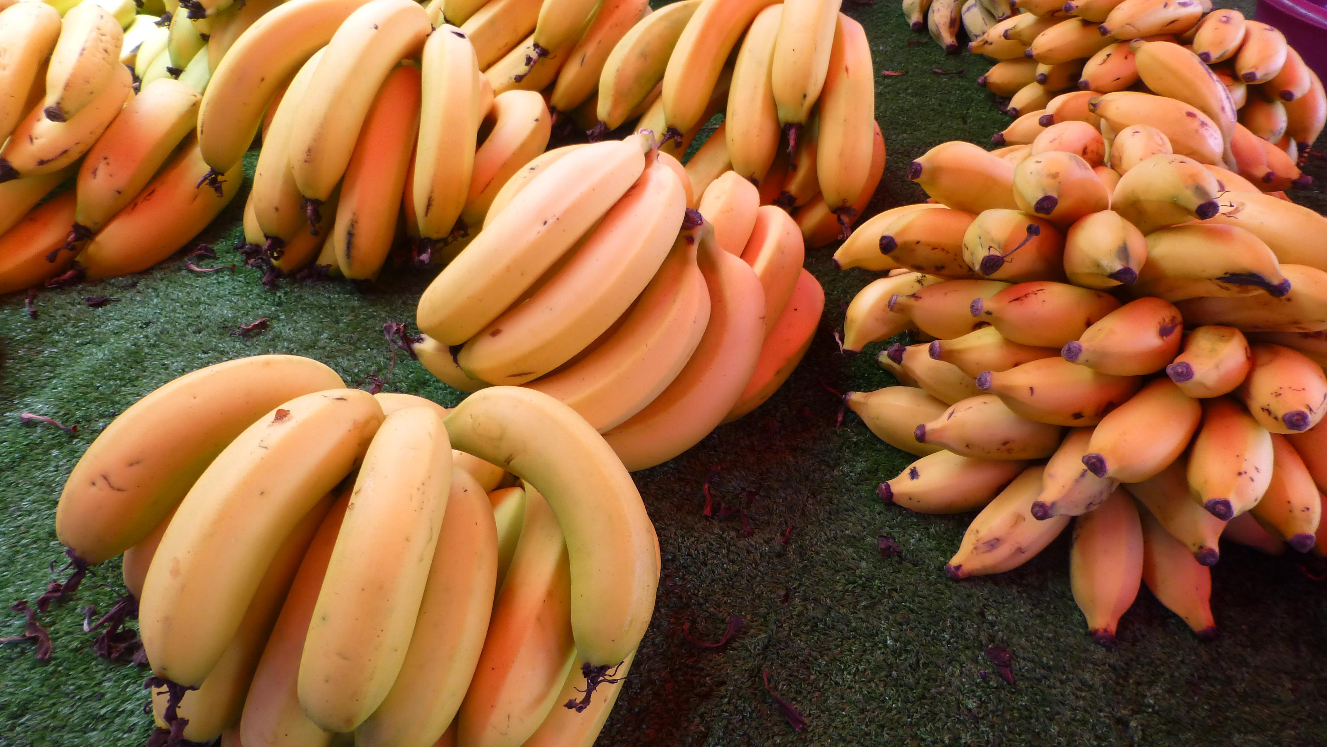 Mercados en Reunión: un festín de sabores y colores por descubrir