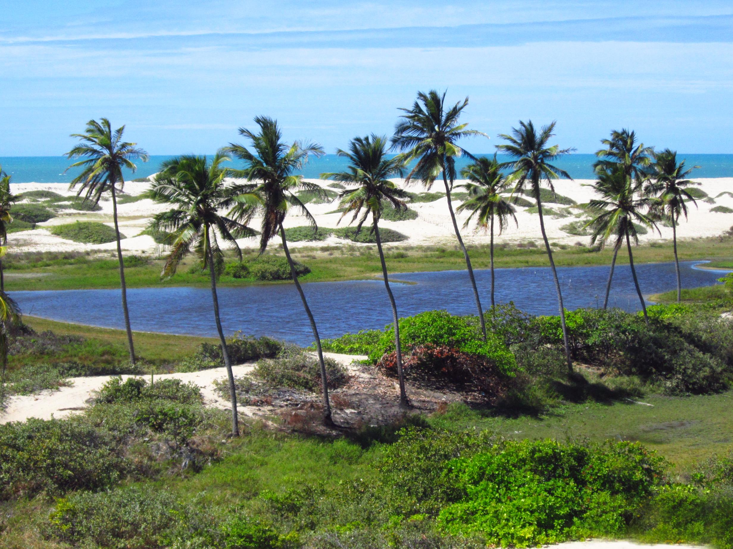 O que fazer em Fortaleza em 3 dias: Praias, gastronomia e cultura!