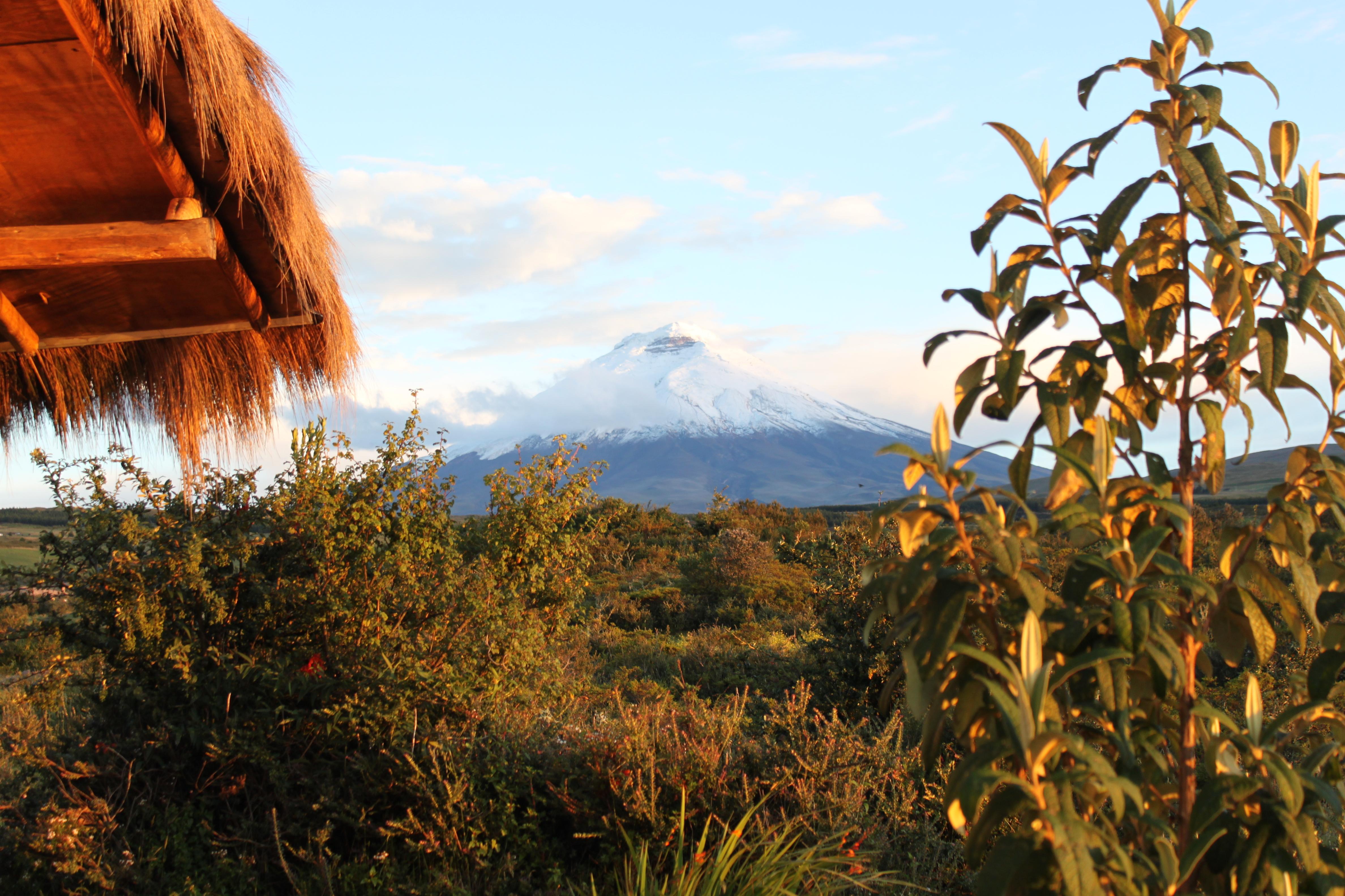 Parque Nacional Cotopaxi, por María Cecilia Holguín