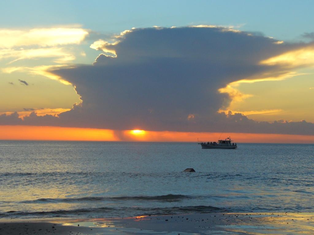 Playa Piriapolis, por mariozurita