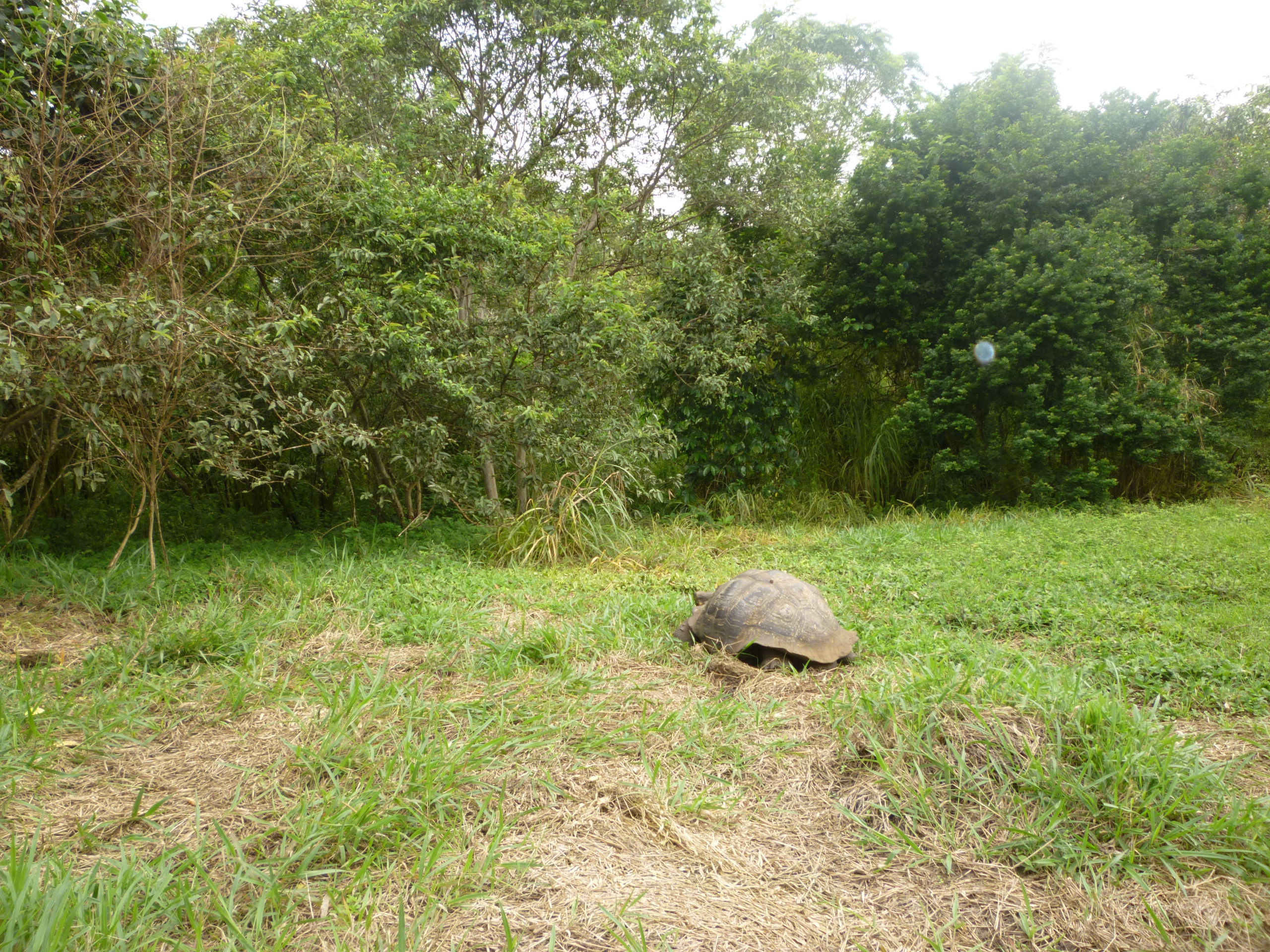 Rancho Permiso, por supercastell