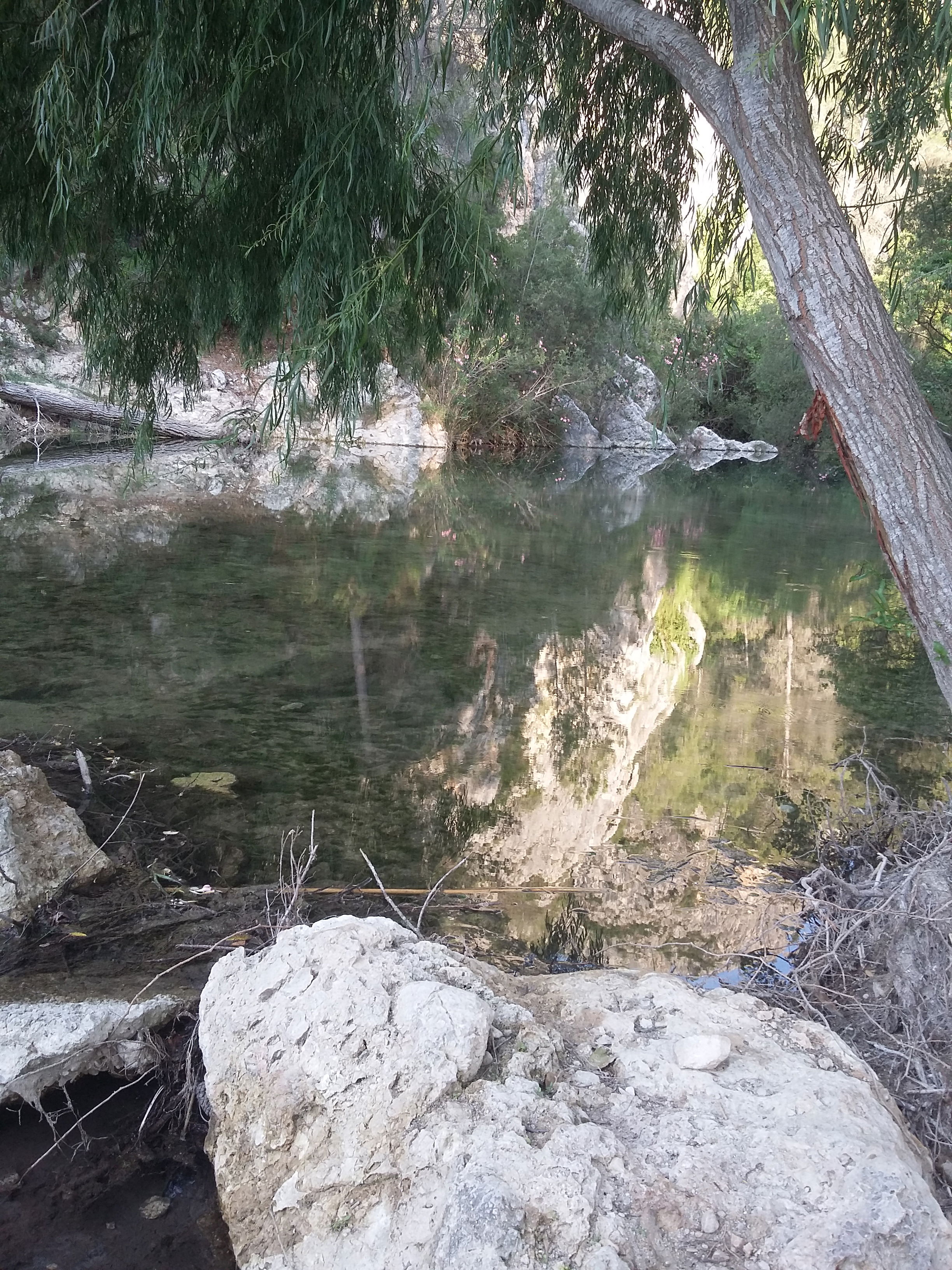 Embalse de Beniarrés, por Maria Pascual
