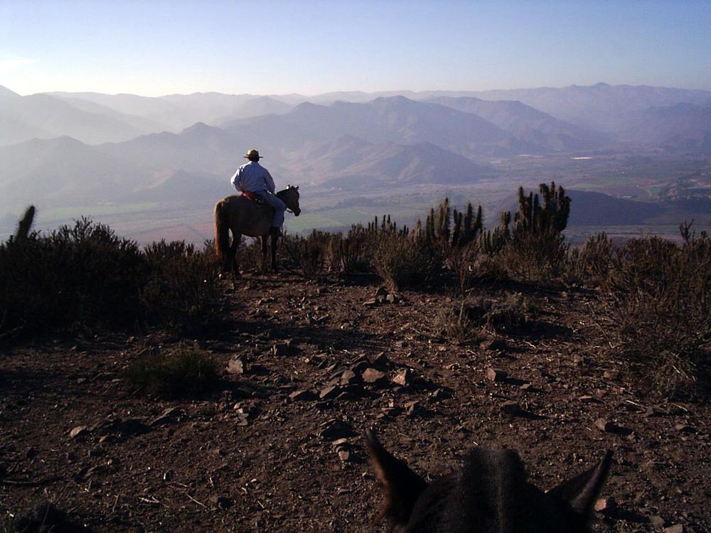 Cabalgata por el valle del Elqui, por Tribi Lin