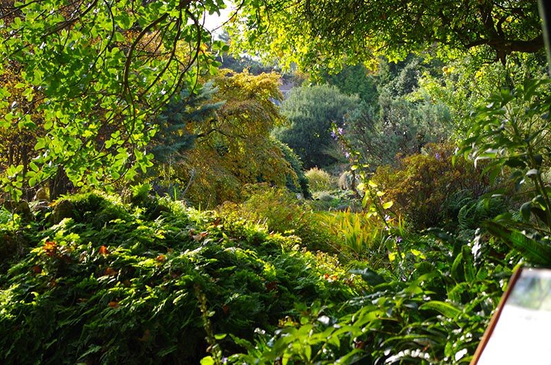 Le Jardin Alpin, por Los Viajes de Mary