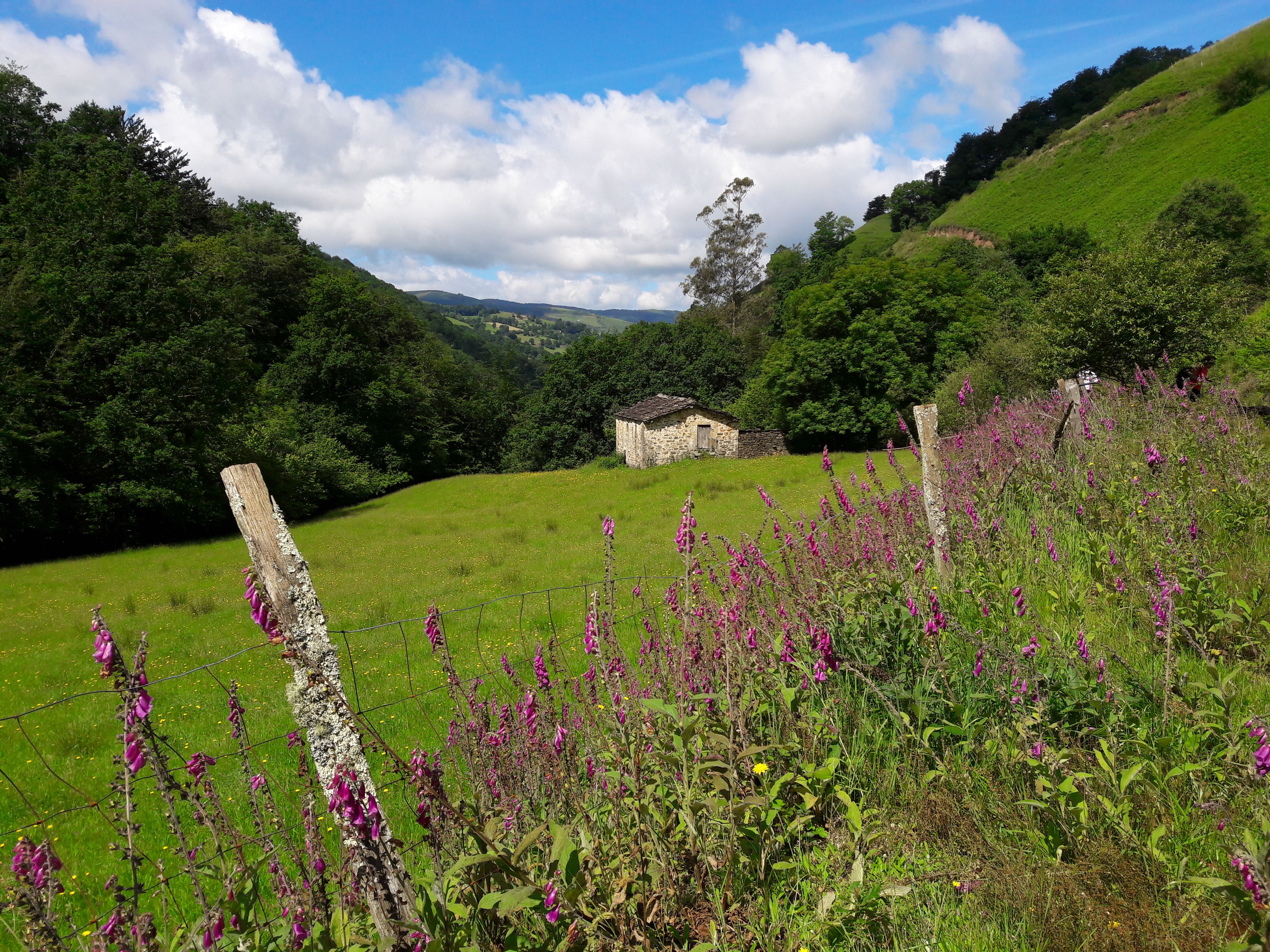 Aire libre en Selaya: rutas y paisajes que inspiran aventura