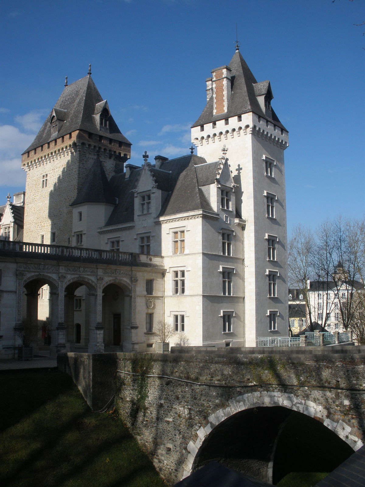 Castillo de Pau, por mmozamiz