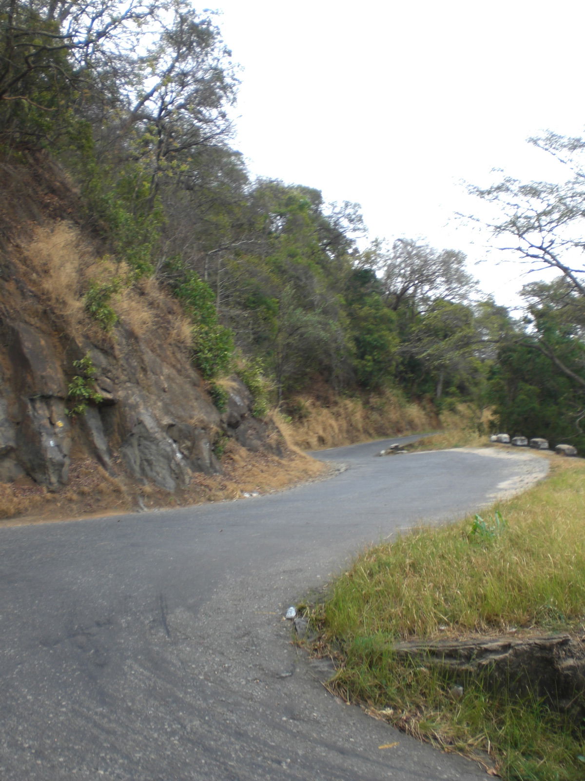 De Ampara a Kandy, por guanche