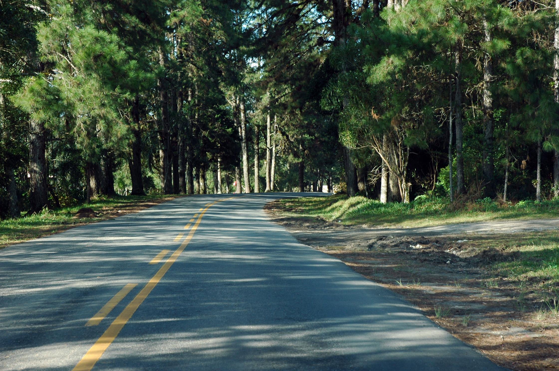 Carretera Graciosa, por maurorn