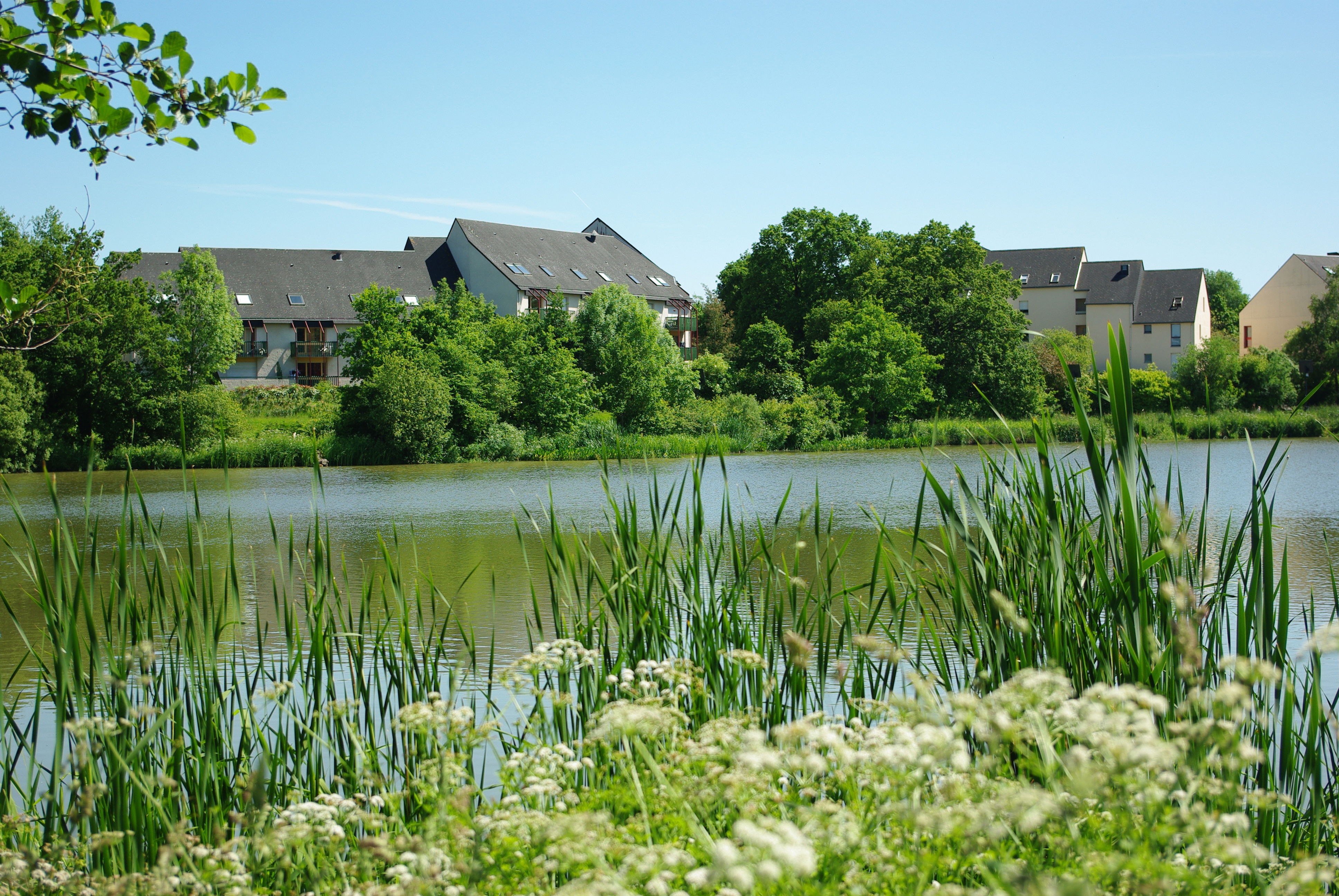 Lago de Longchamps, por Tania Antonini