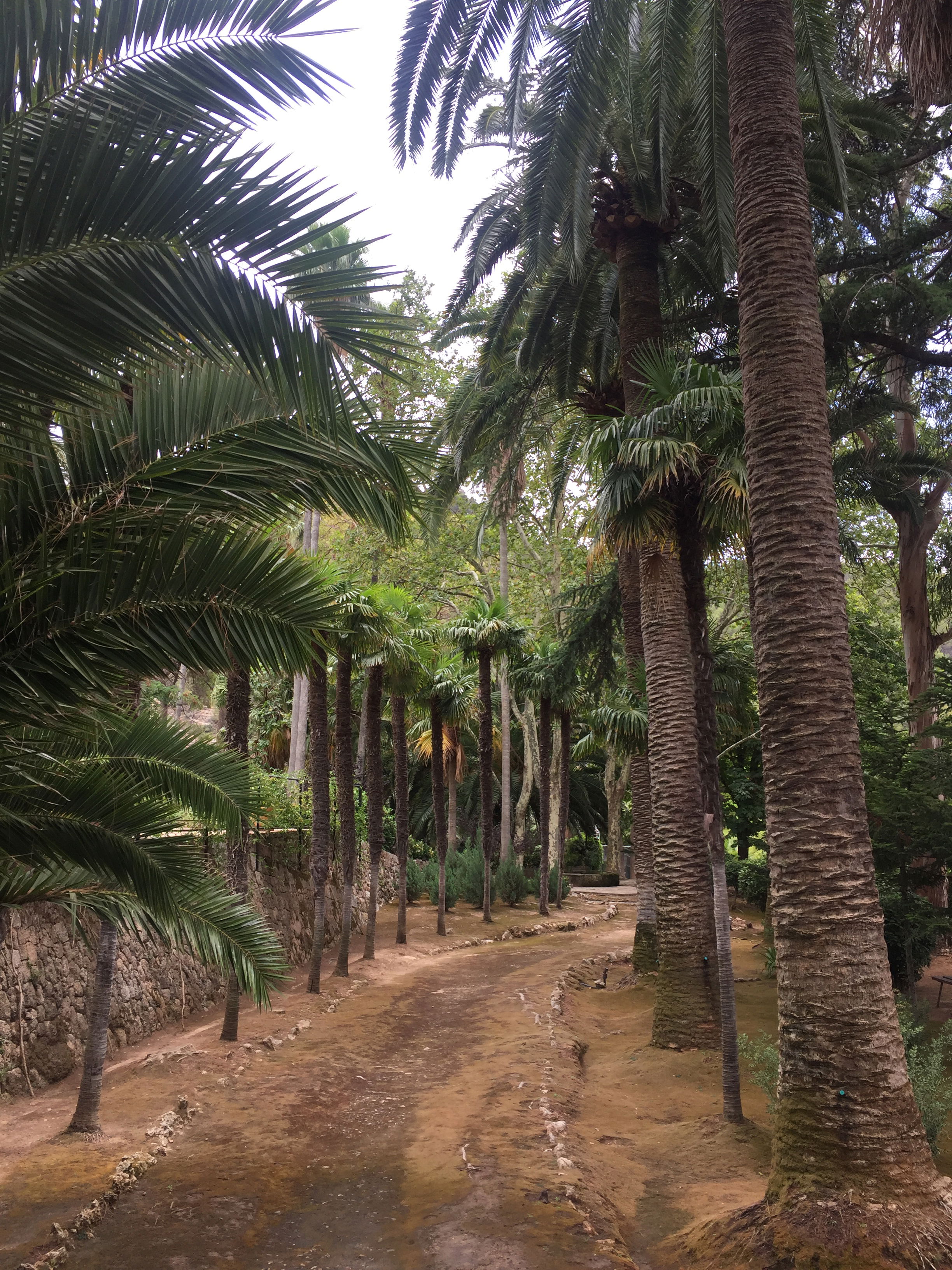 Jardines de Alfàbia, por Juanjo Garcia