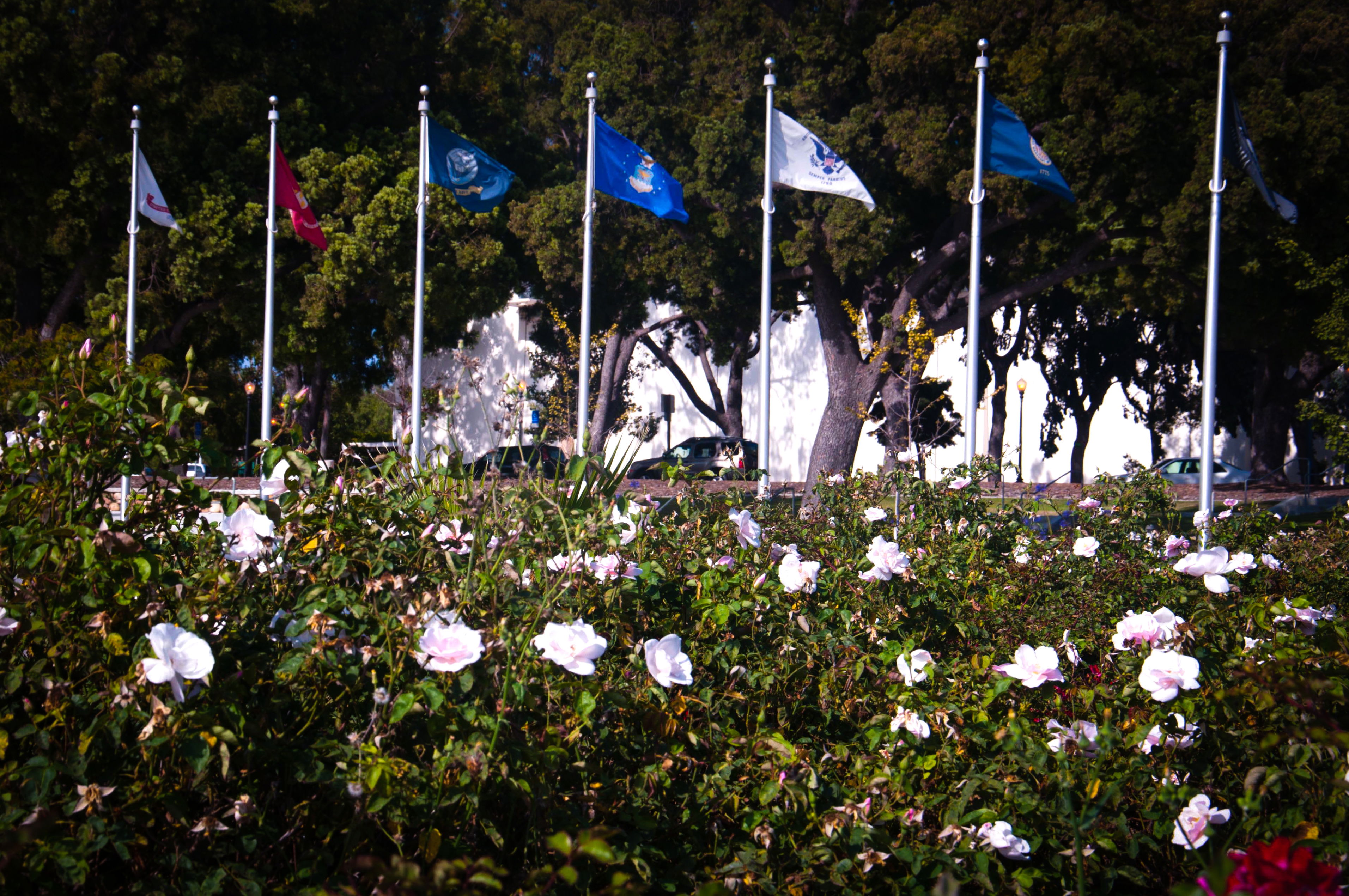 Parque balboa, por Rosangela Lima