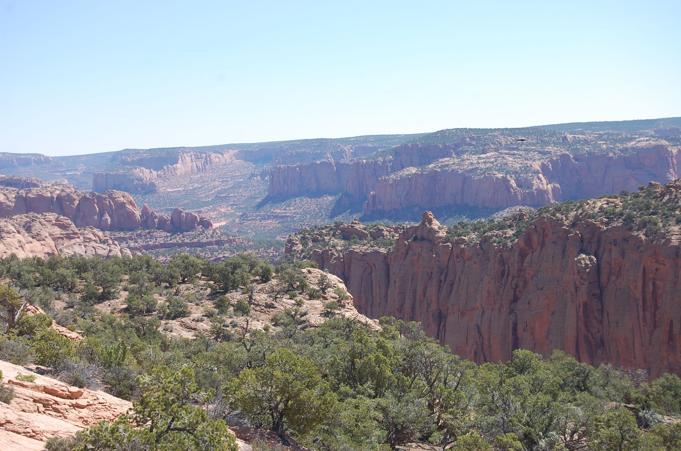 Monumento Nacional Navajo, por Estela Lull (Hatsue)